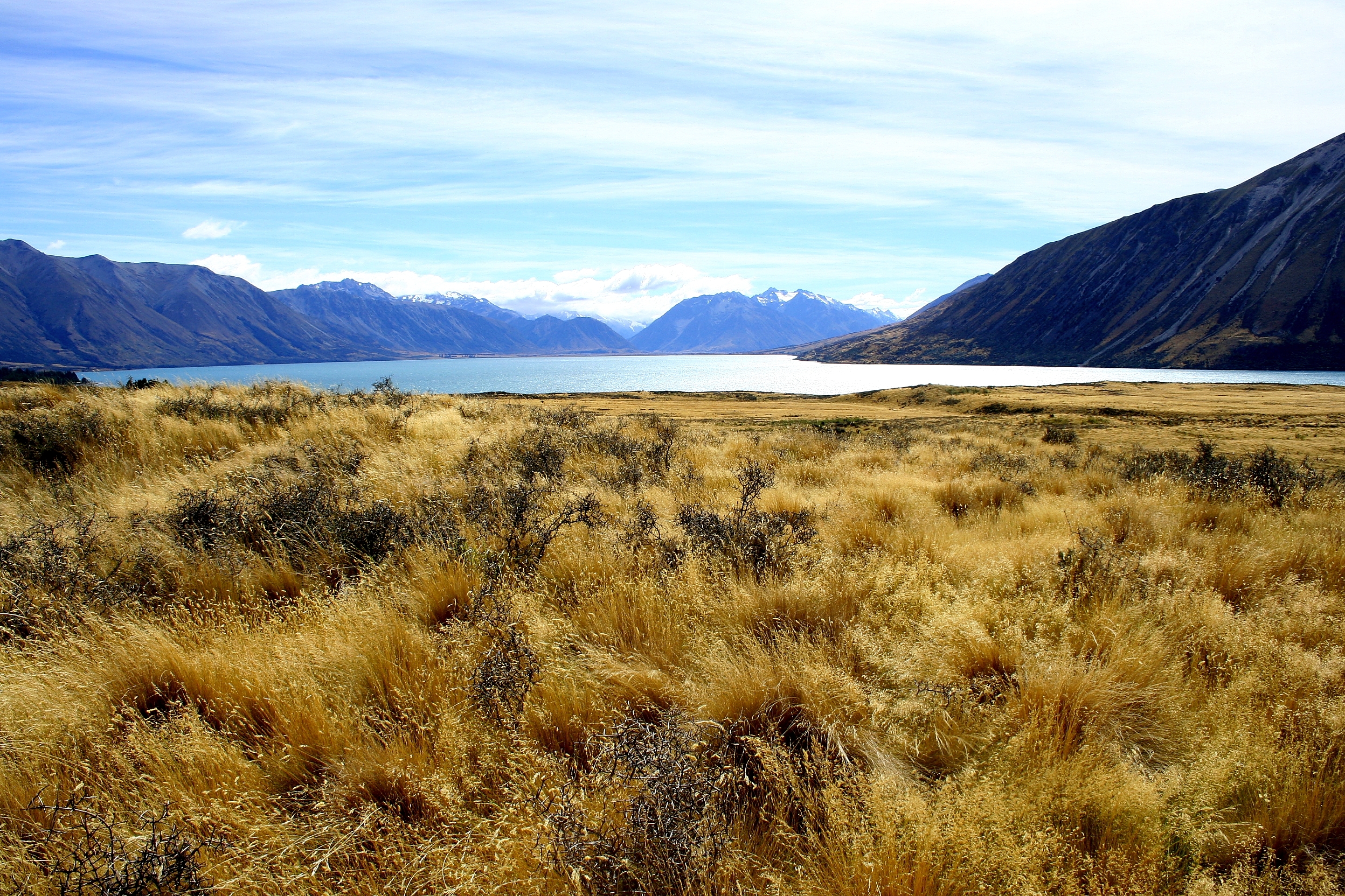 about-hunting-new-zealand