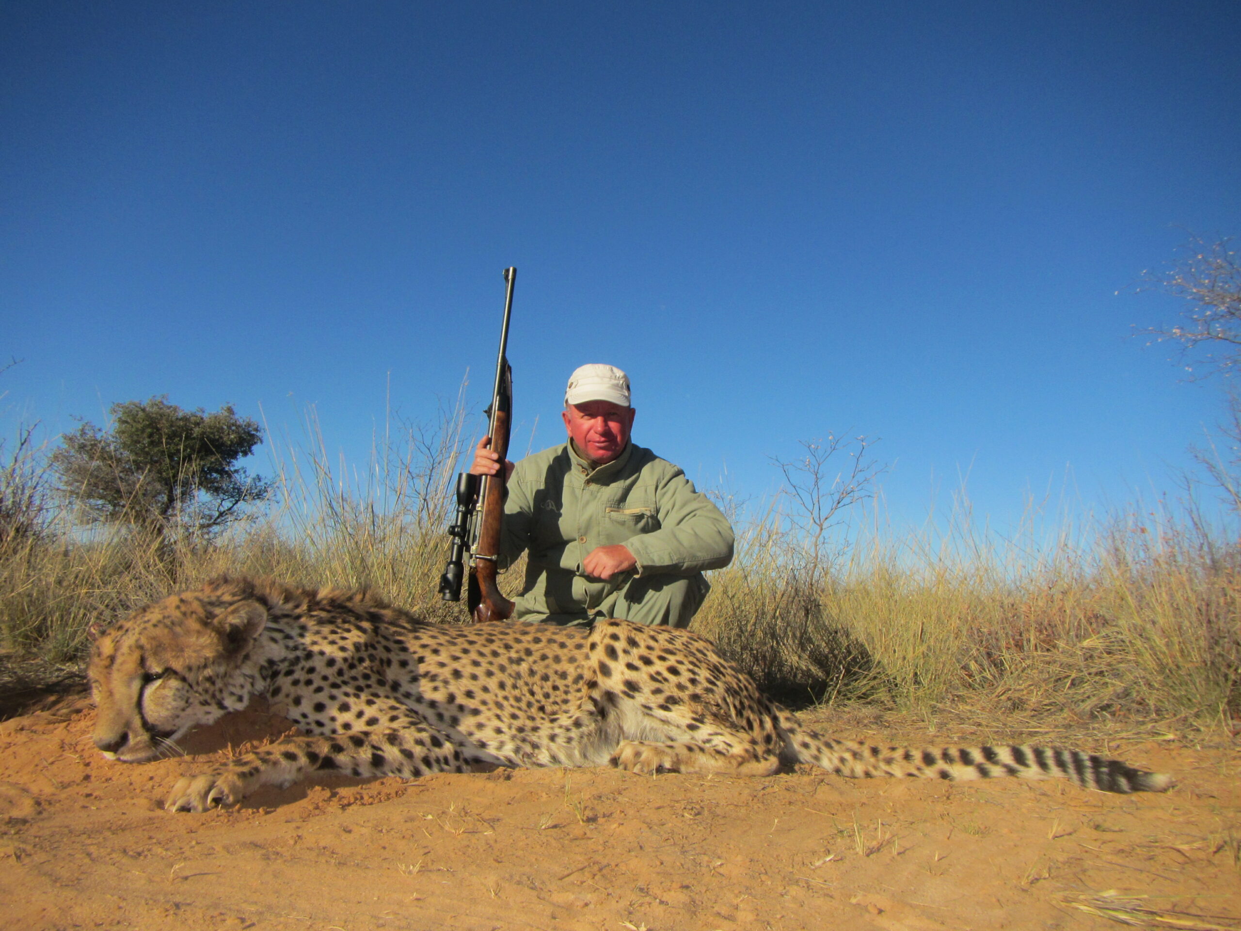 african-cheetah