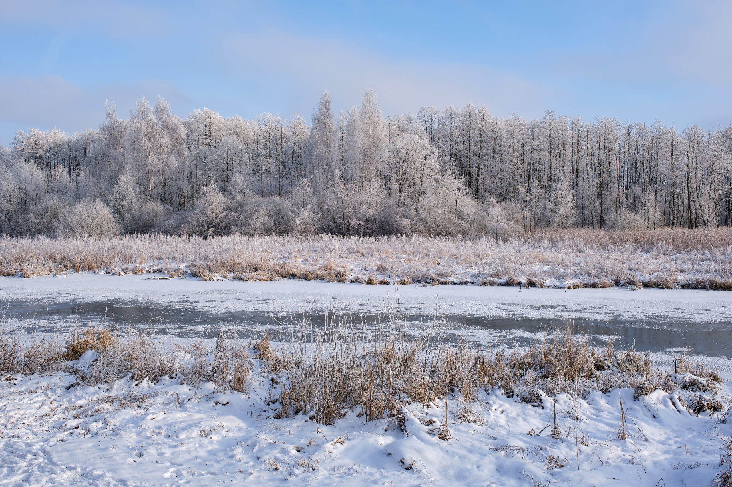Beautiful,Snowy,Winter,Landscape,Of,River,,Forest,On,Background