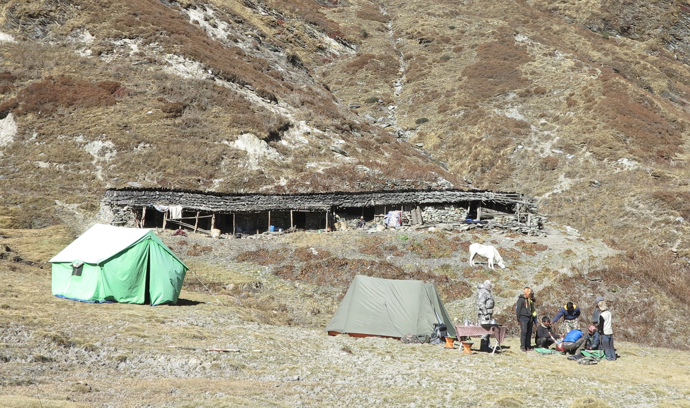 blue-sheep-camp-in-nepal