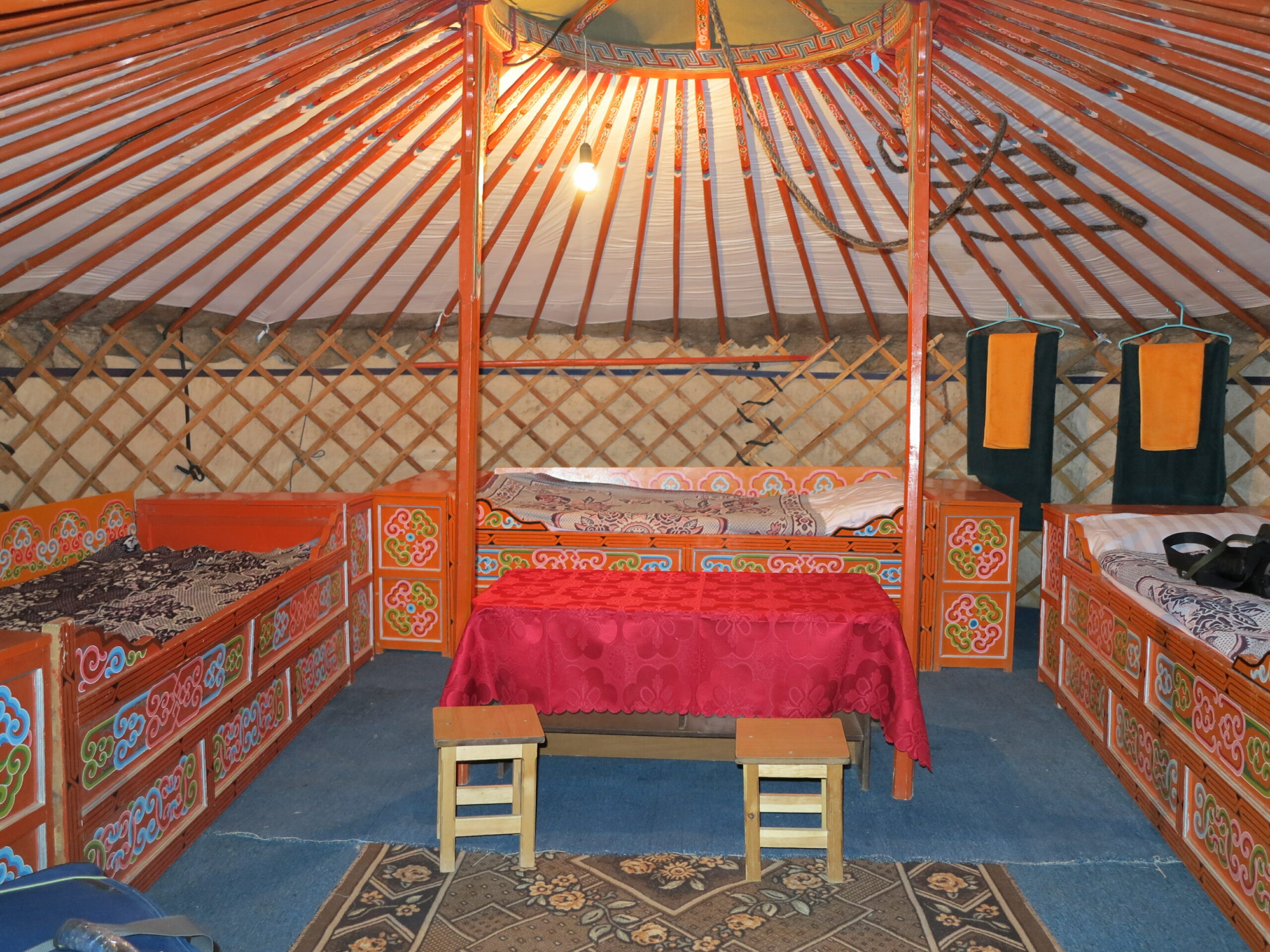 camp-mongolia-argali