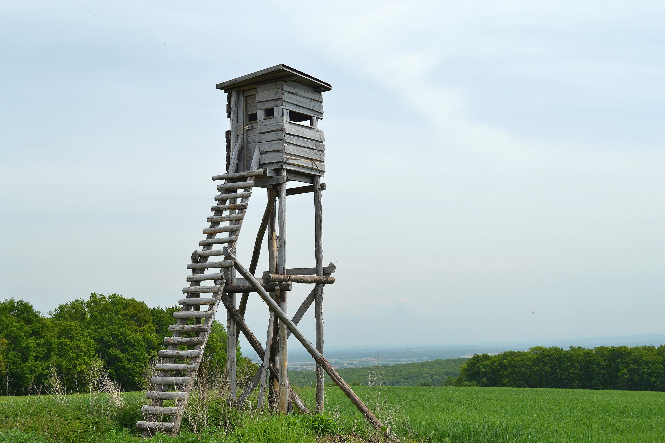 Wooden,Watch,Tower,For,Hunters,,Wooden,Structure,,Alsace,,France