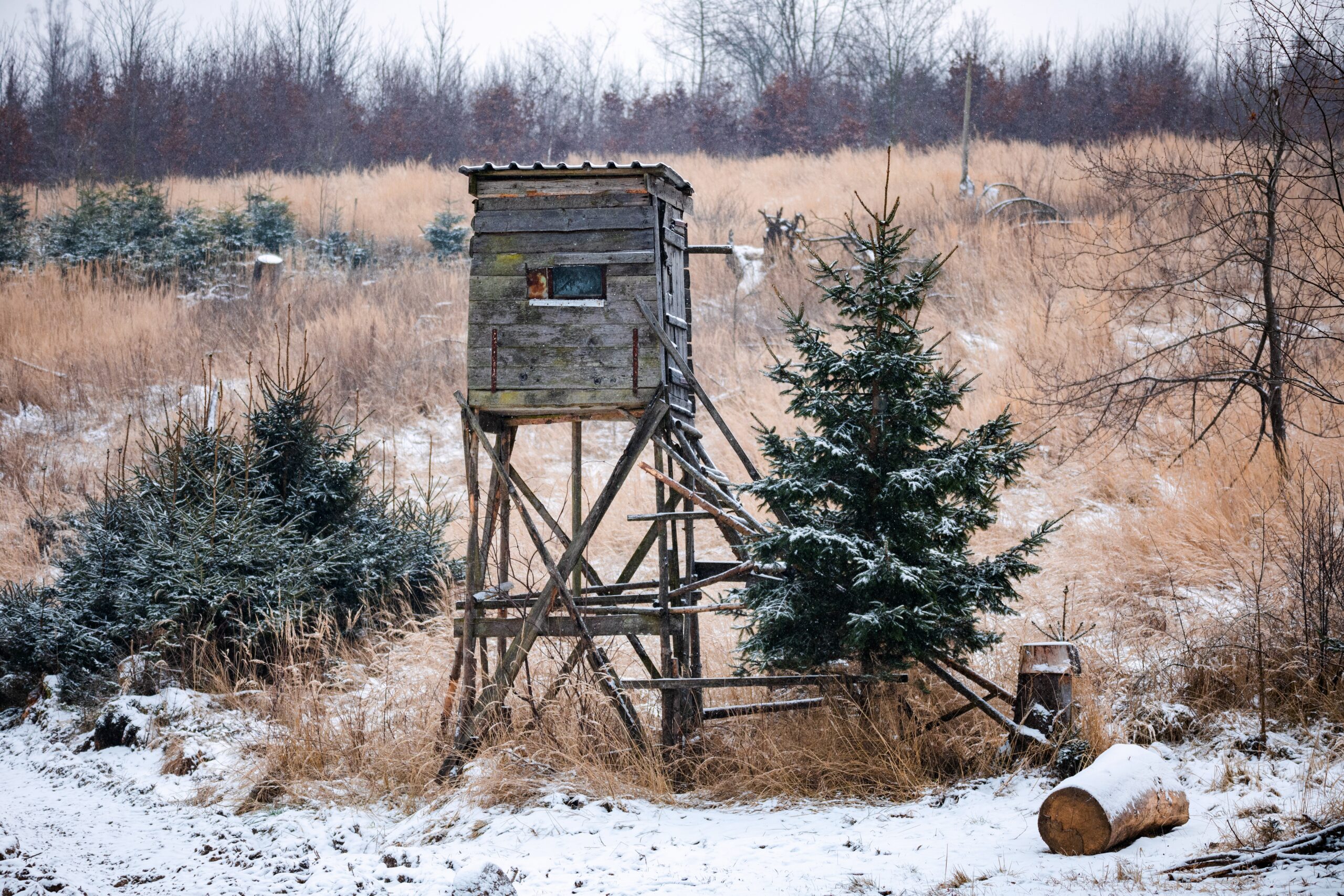 Hunting,Tower,In,Countryside,,Winter,Season,,Czech,Republic,,Europe