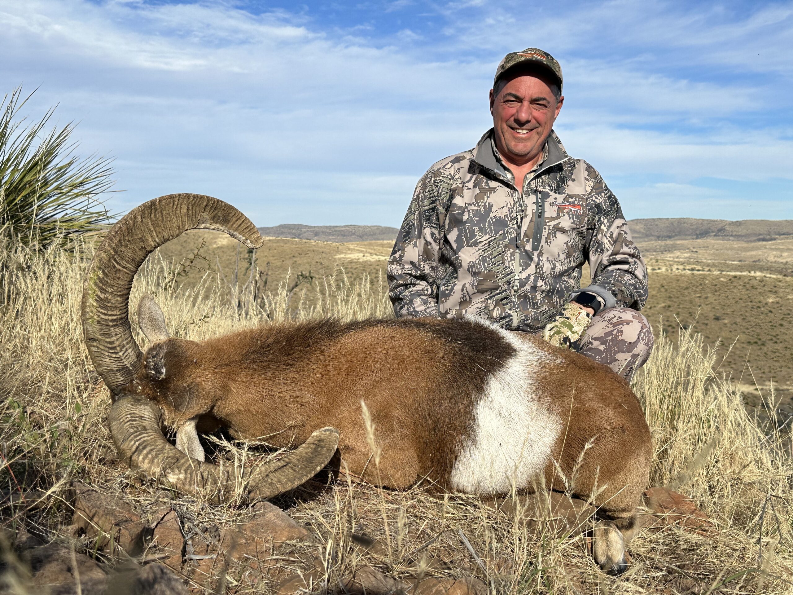hunt-armenian-mouflon-in-usa