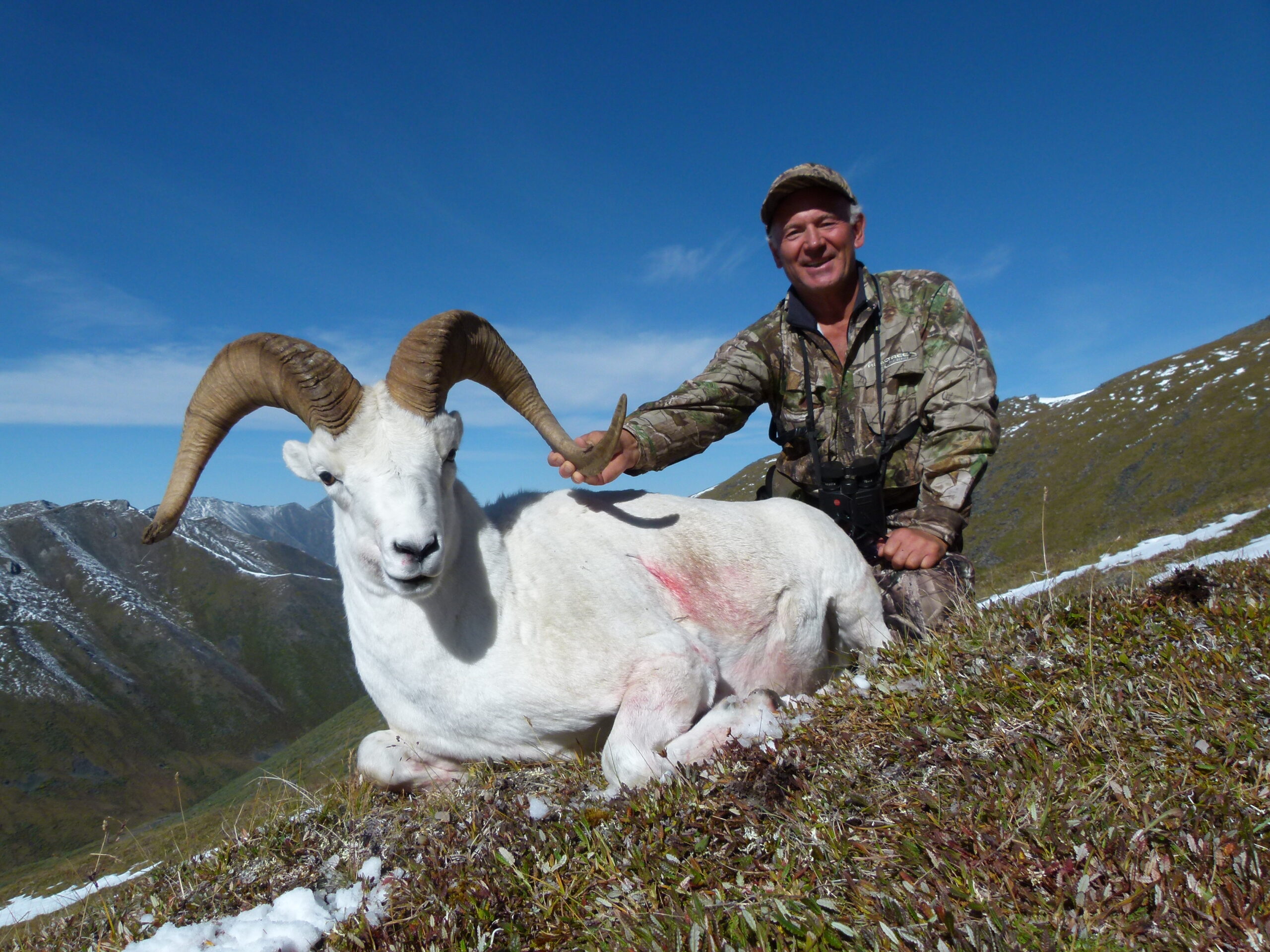 hunt-dall-sheep-canada