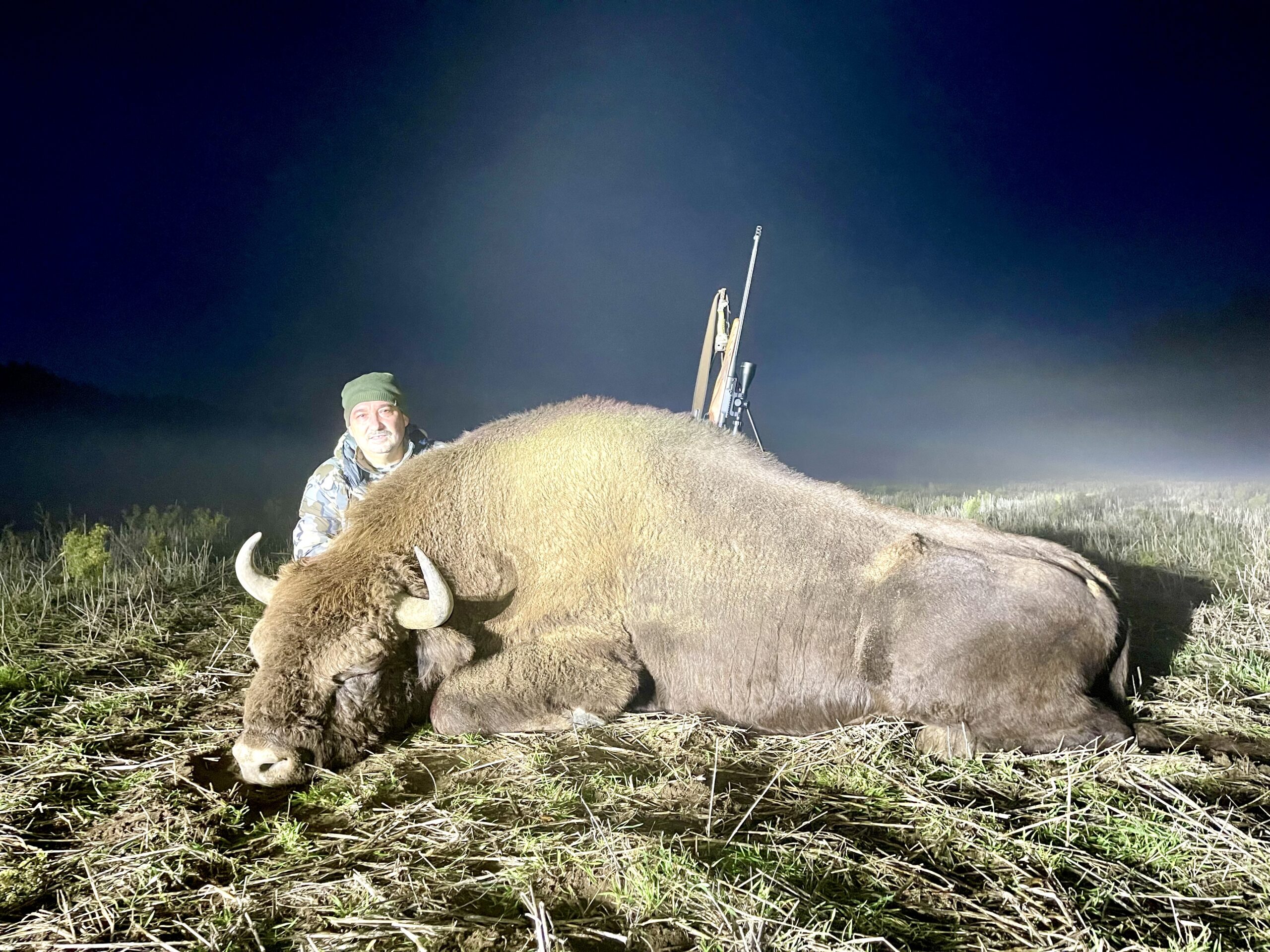 hunt-european-bison