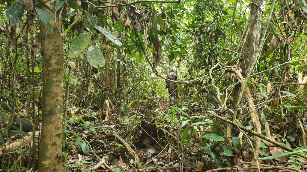 Hunting trips in Malaysia, best rates and professional outfitters - Stalker