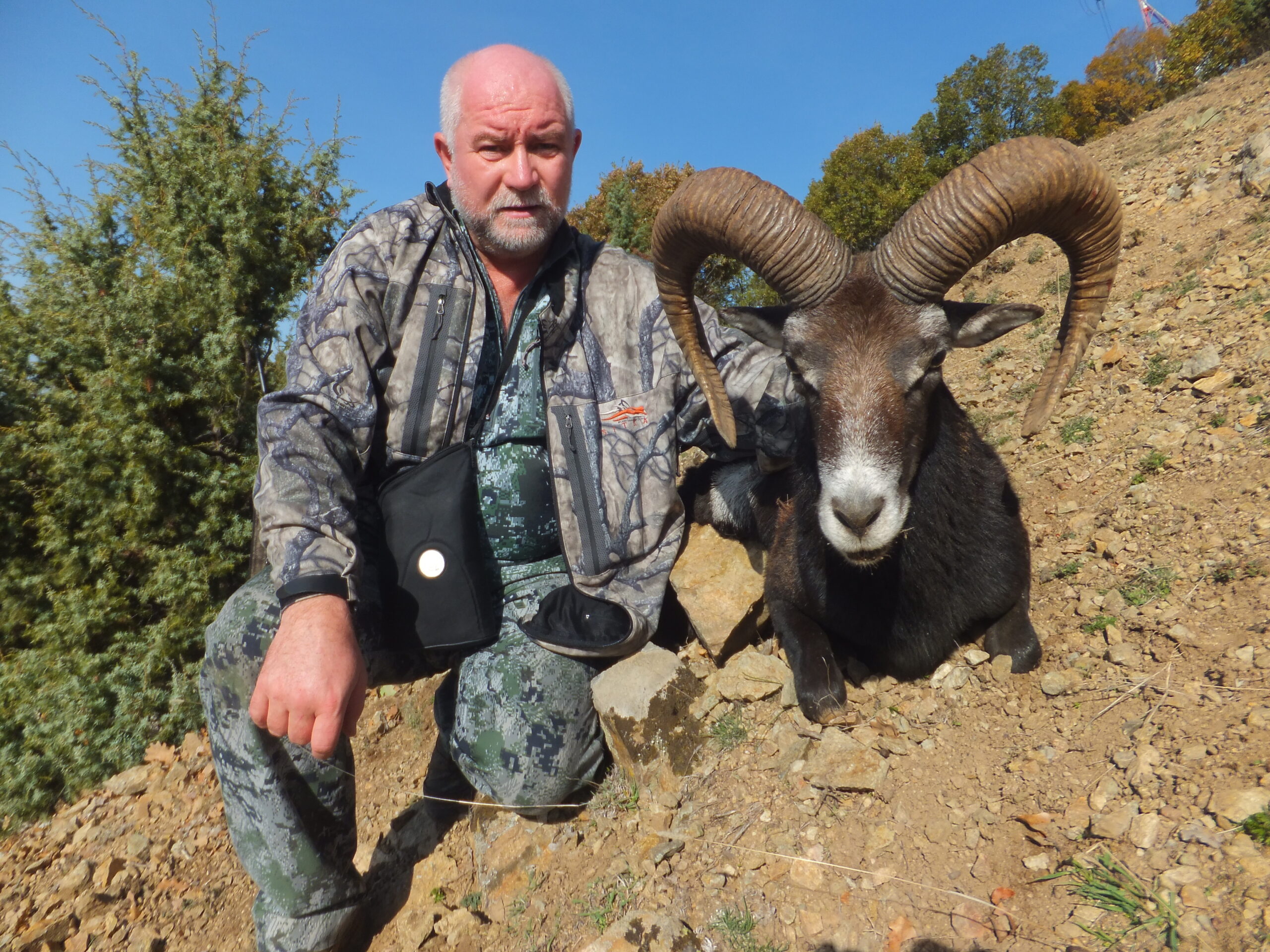 hunt-mouflon-in-macedonia