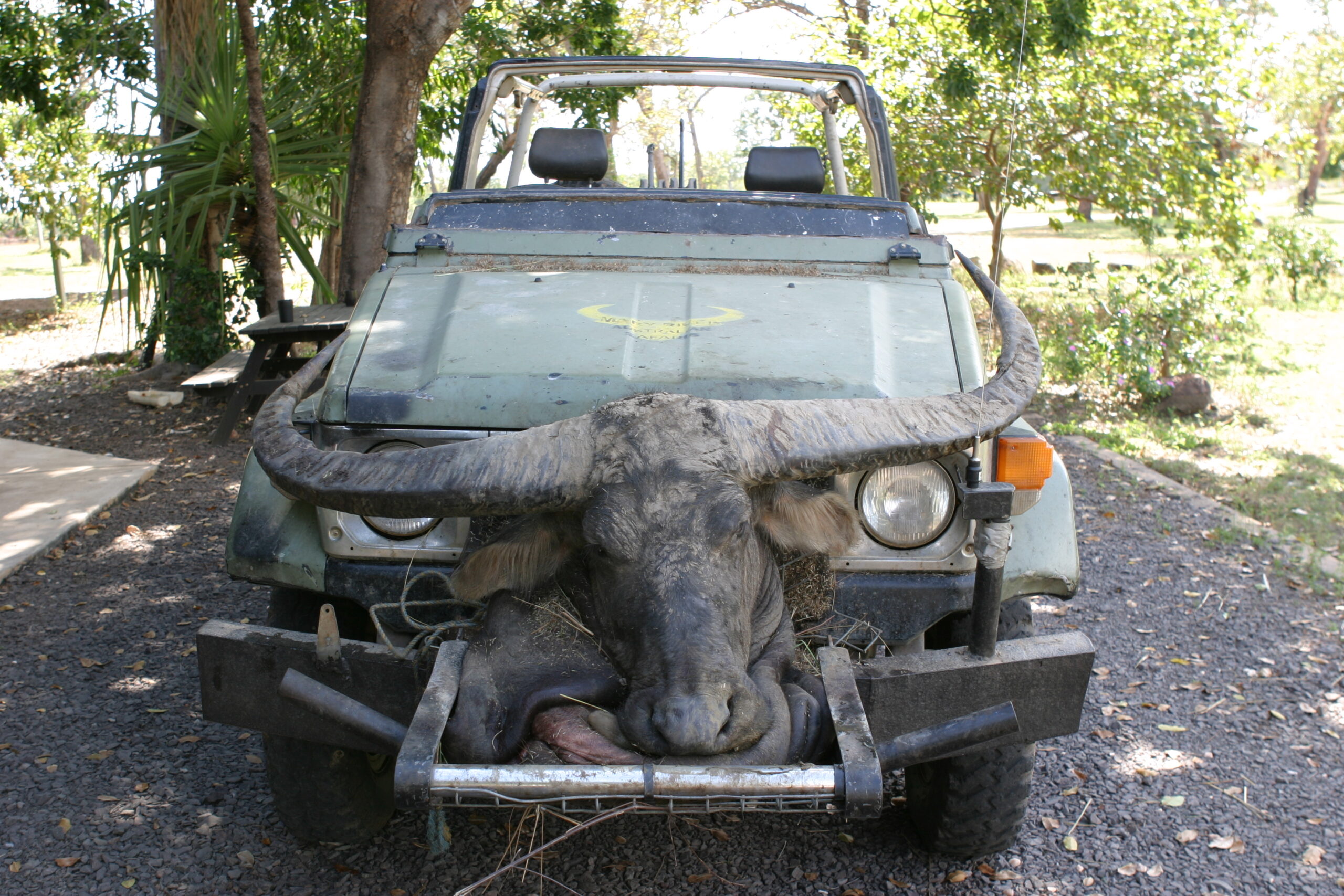 hunting-car-australia