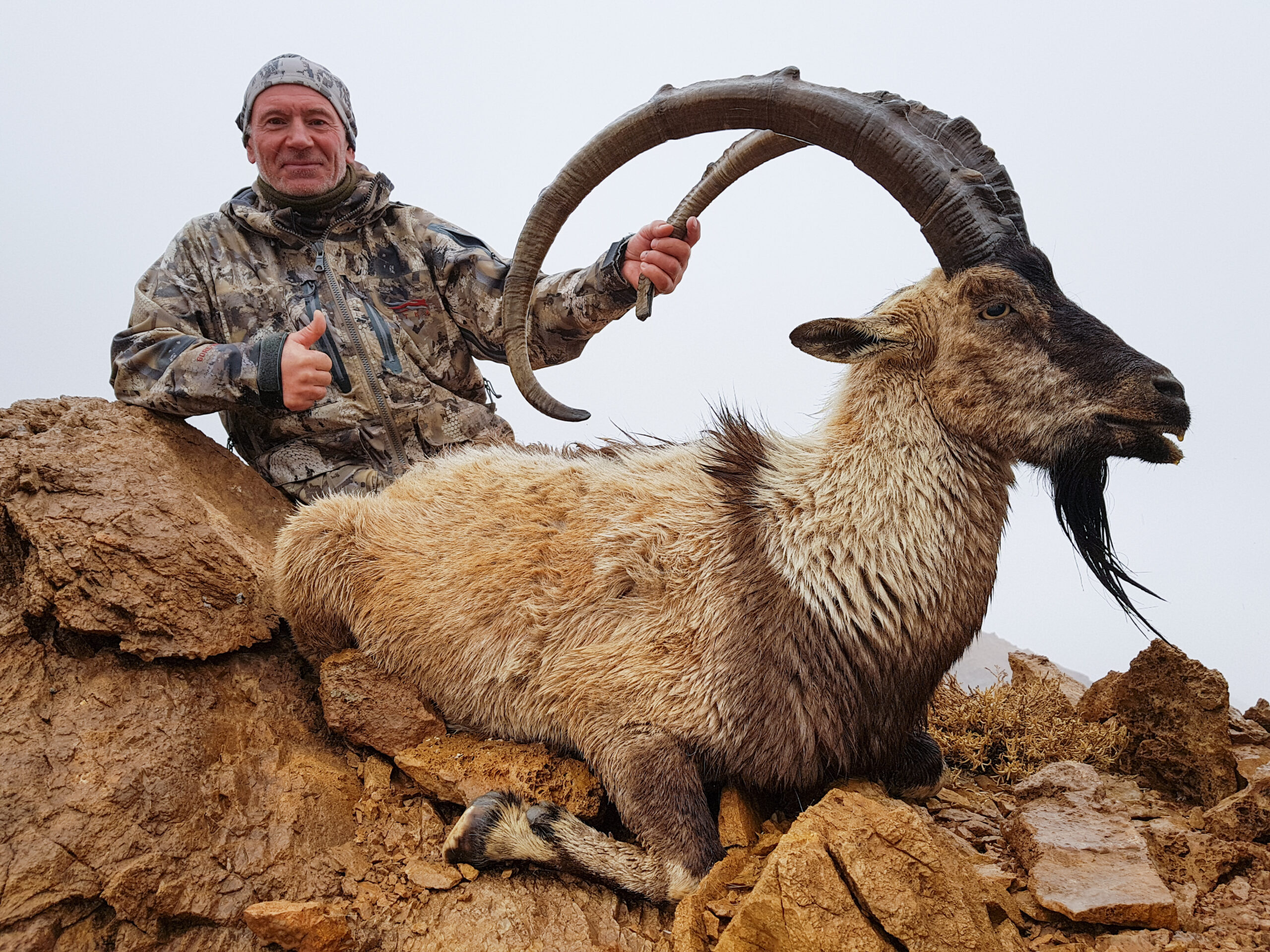 ibex-hunting