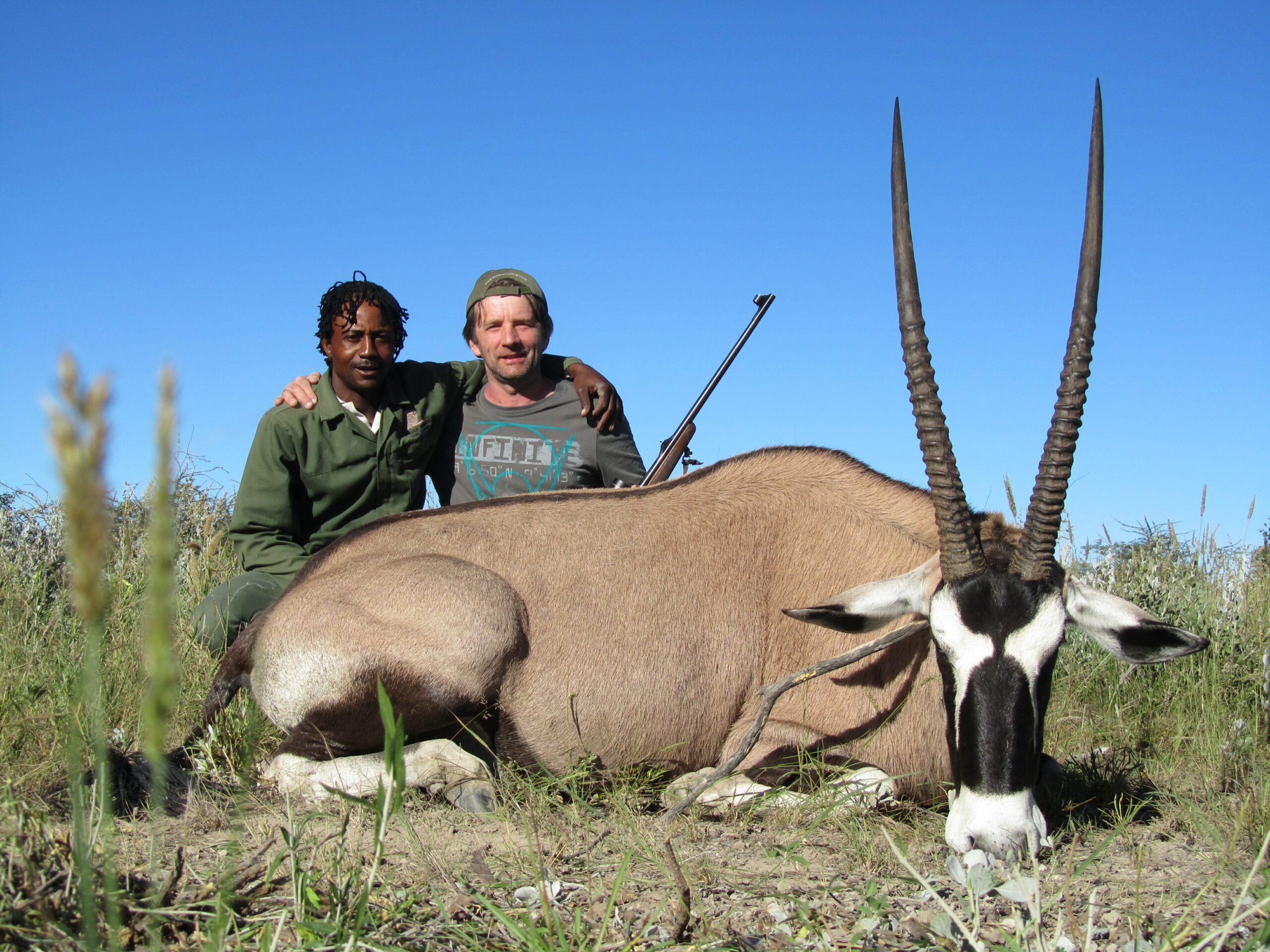 namibia-antelope