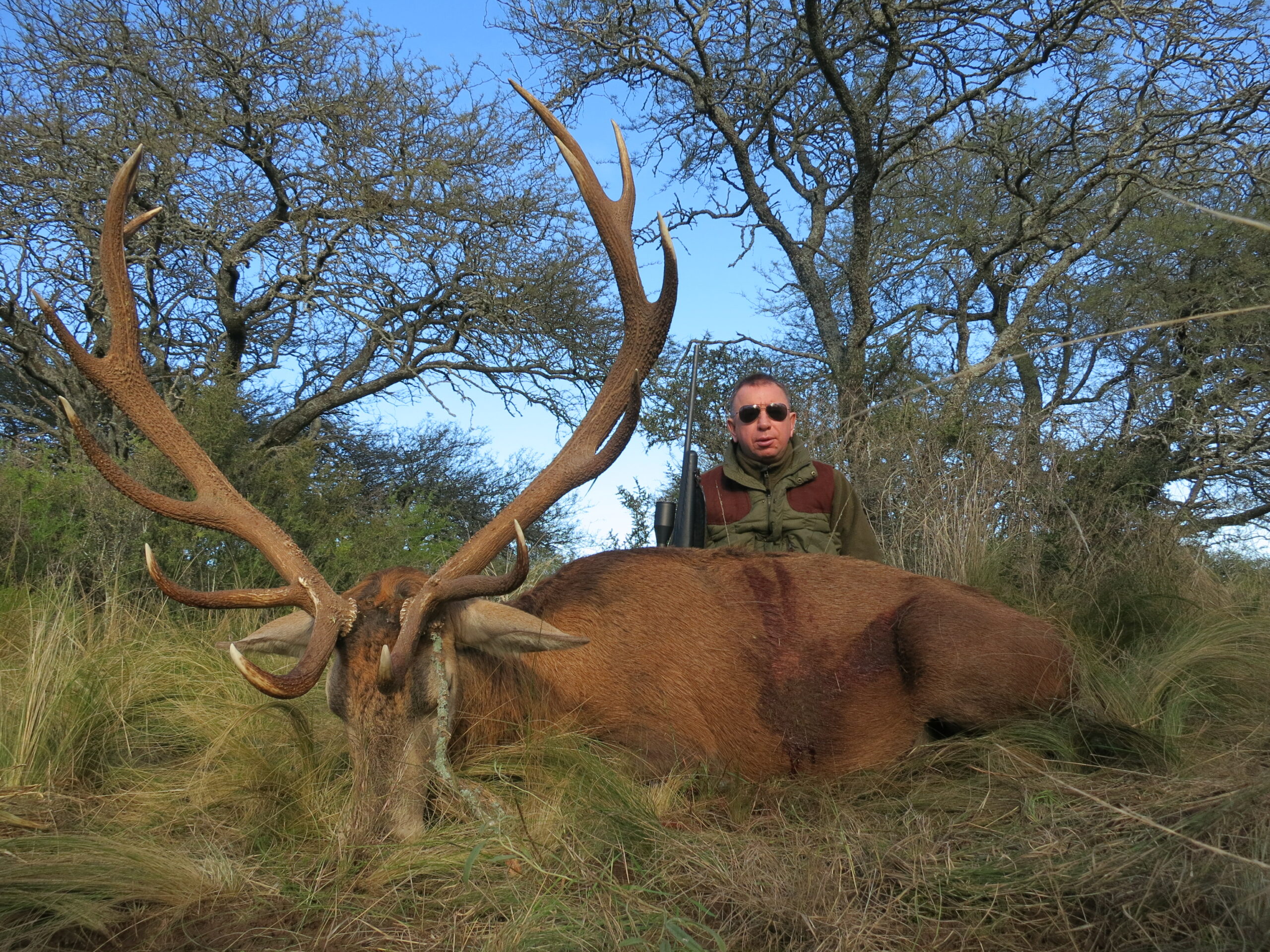 red-stag-hunting-in-argentina