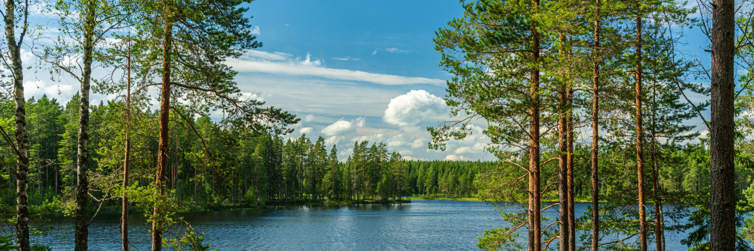 sweden-wild-nature