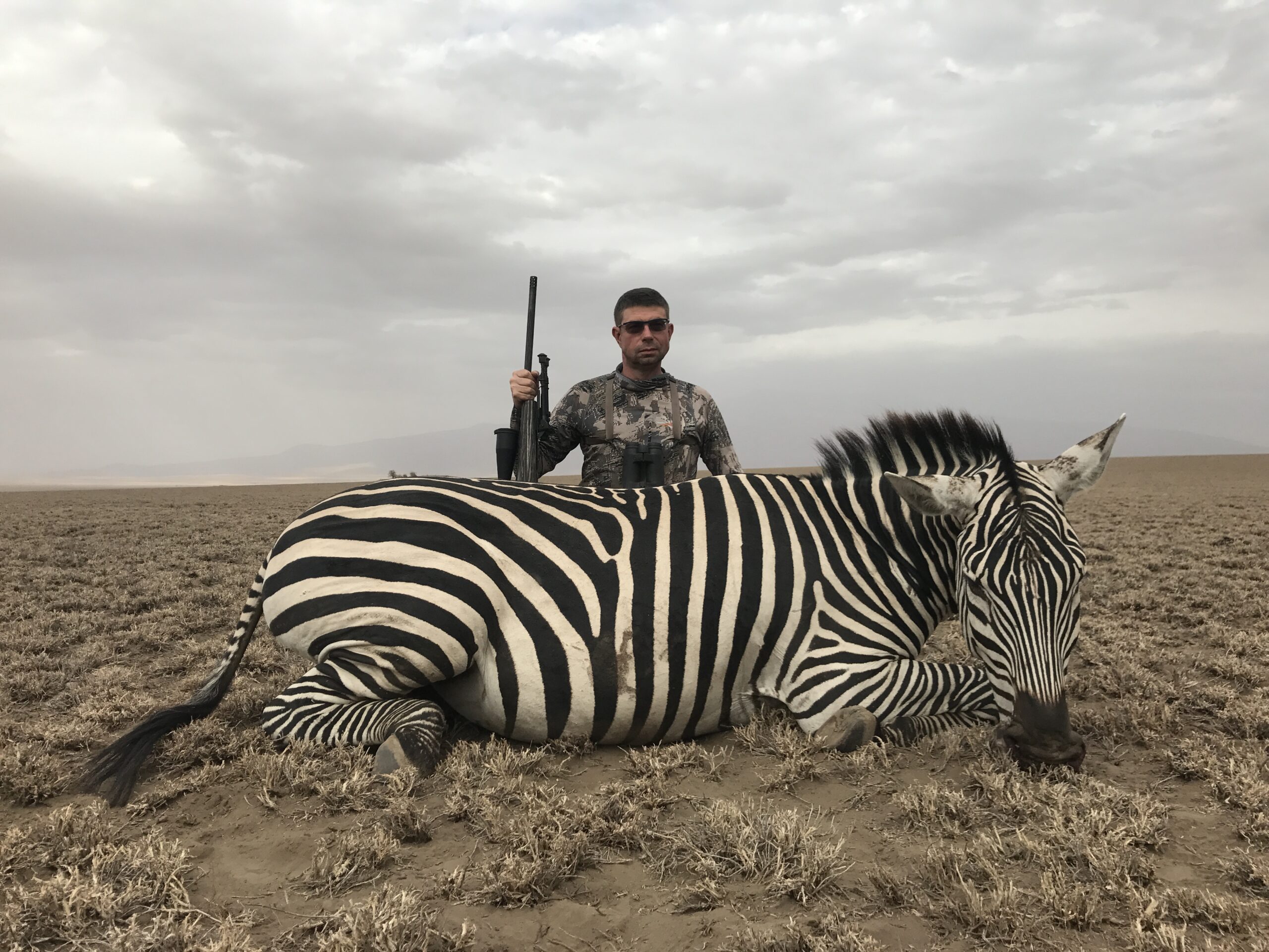 zebra-hunting