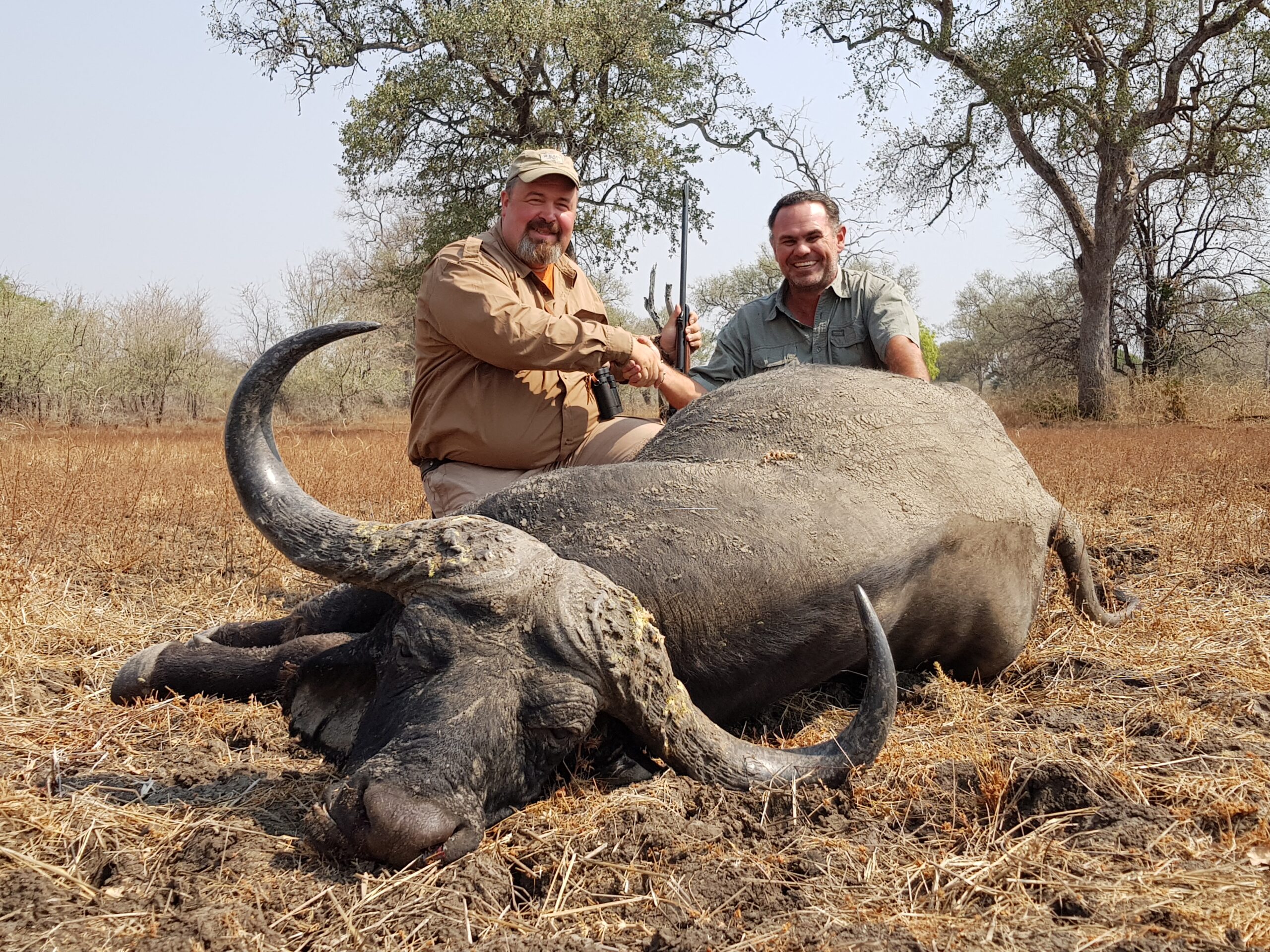 buffalo-trophy-zambia