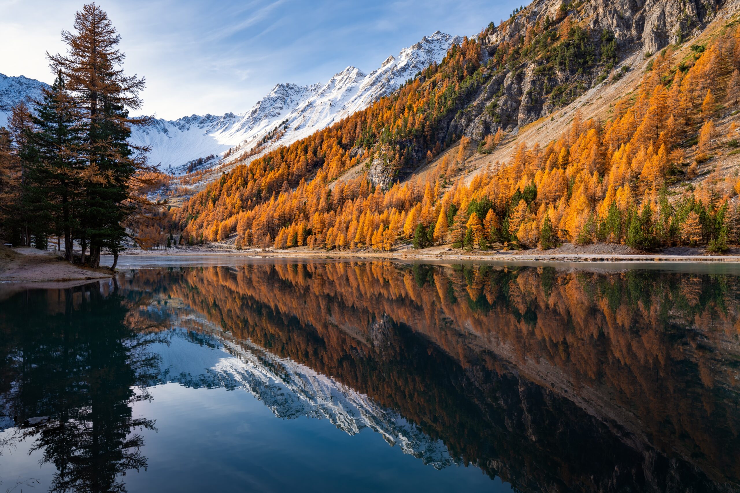 French,Alps.,Orceyrette,Lake,In,Autumn,With,Golden,Larch,Trees.