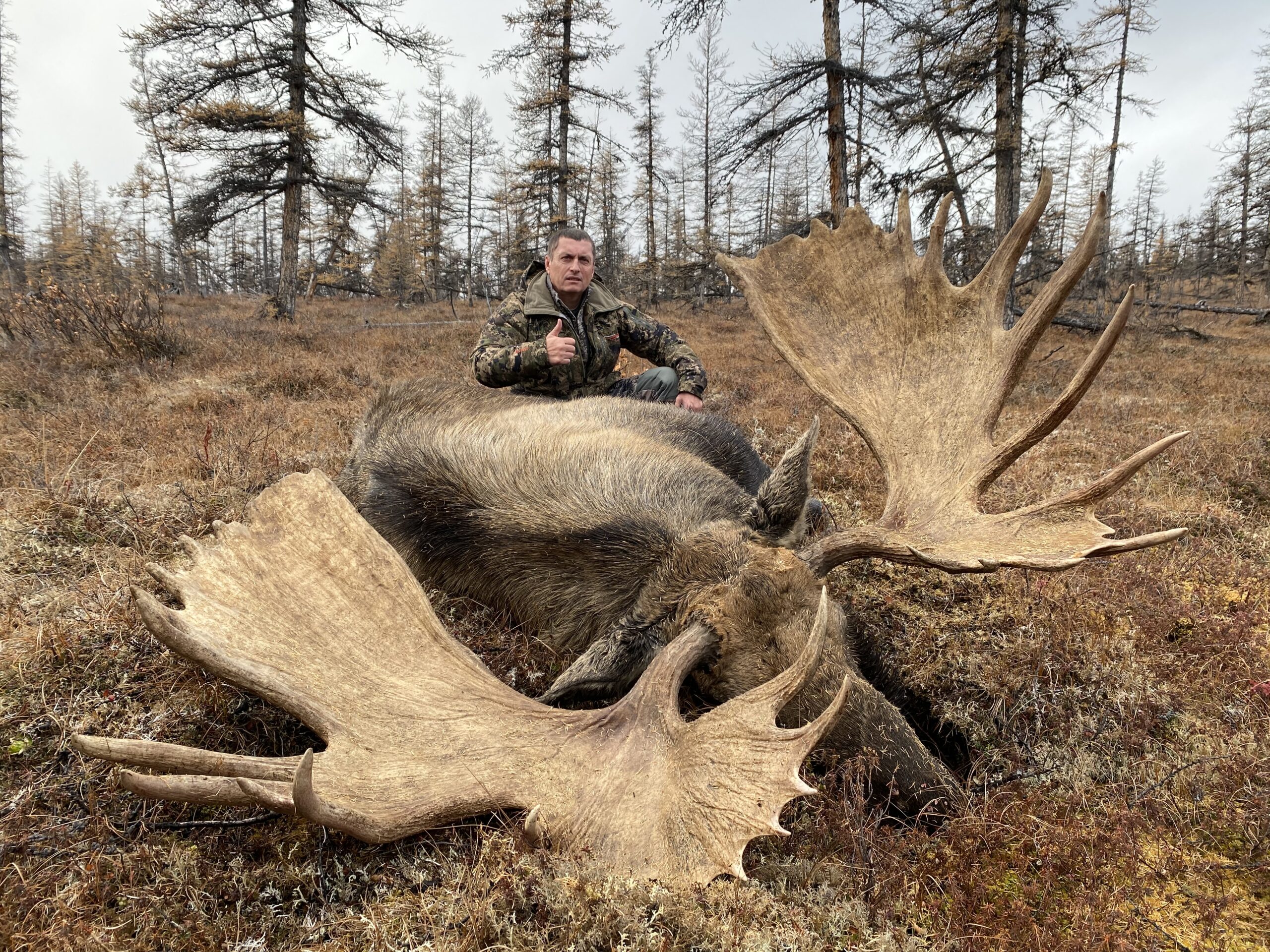 giant-moose-hunt