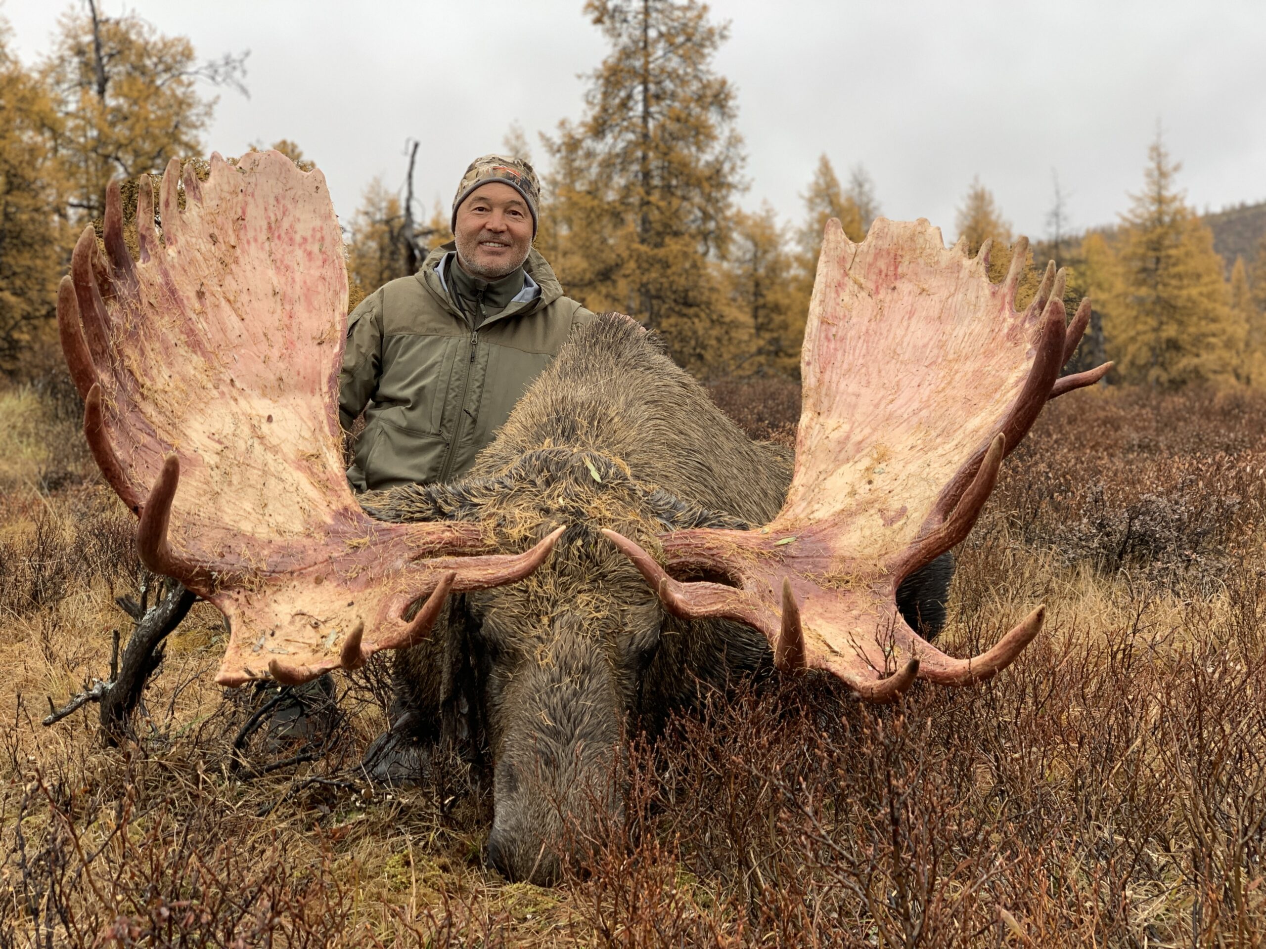 giant-moose-kamchatka