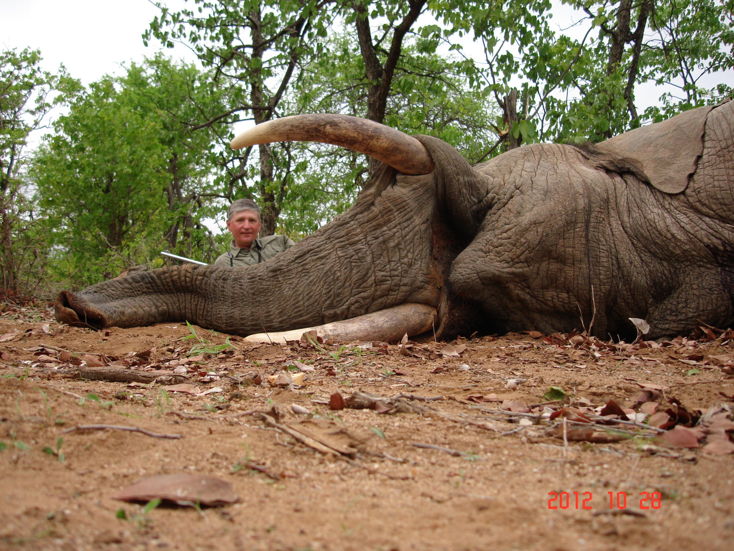 hunt-african-elephant