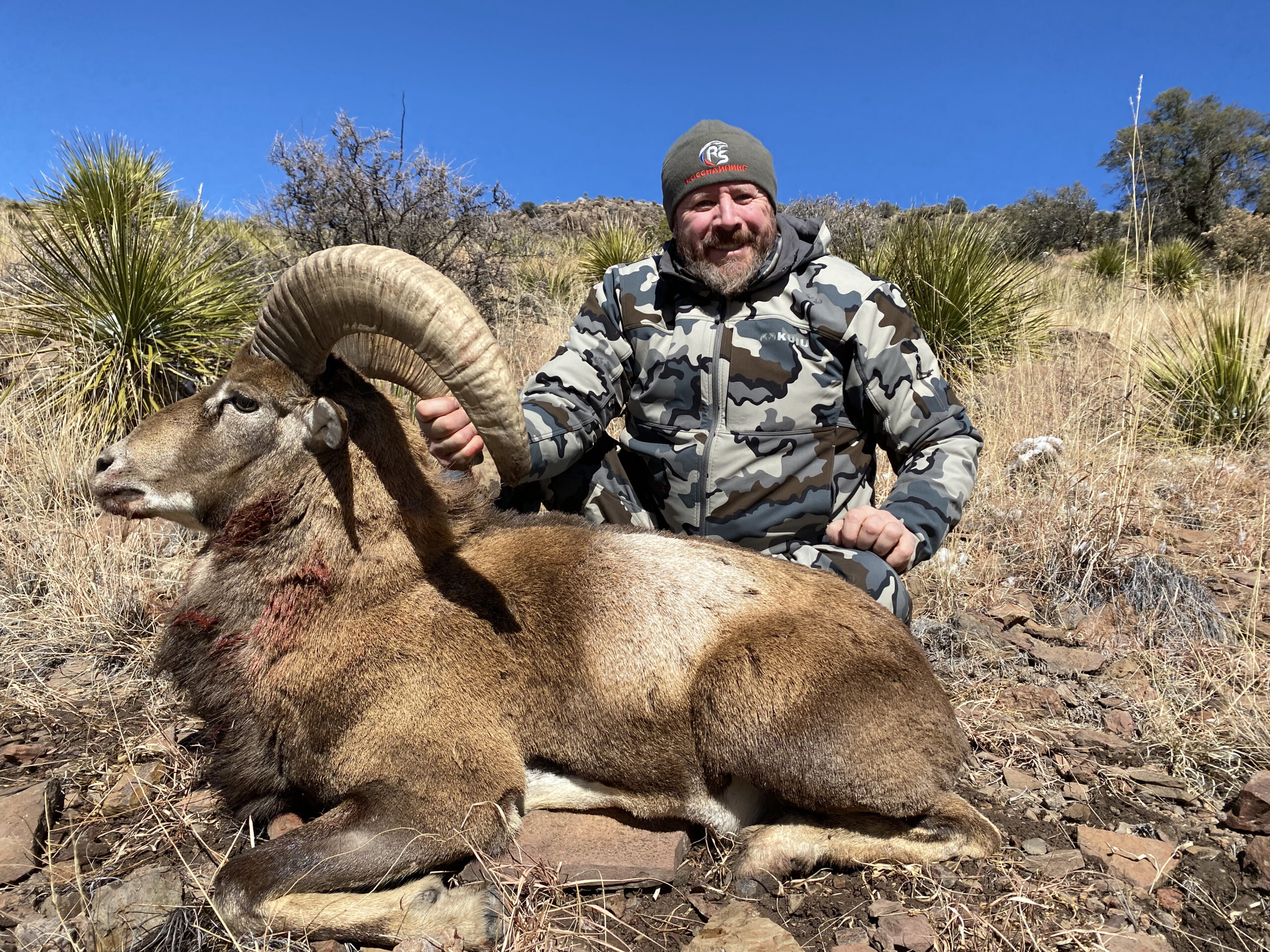 hunt-armenian-mouflon-in-texas