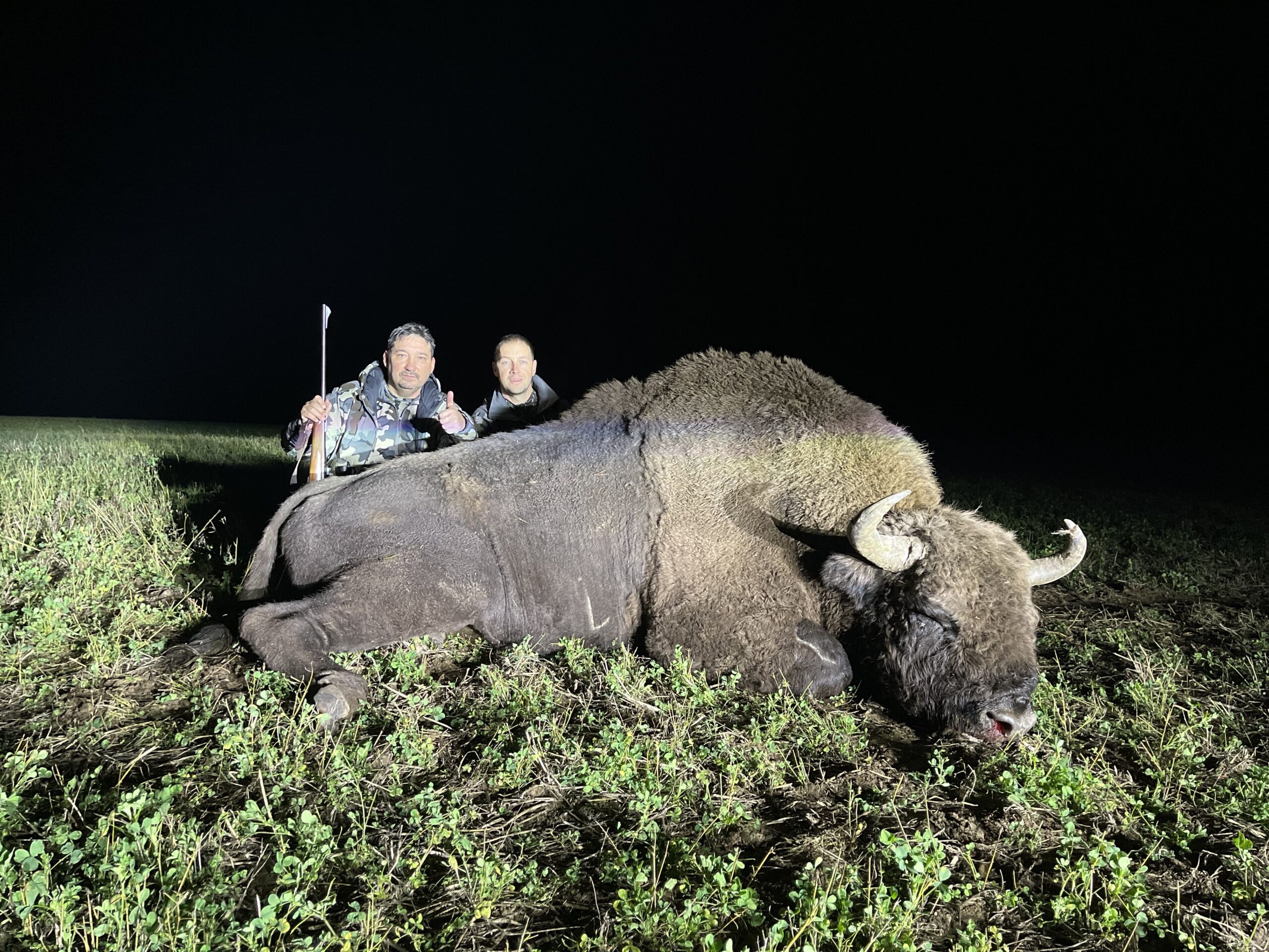hunt-bison-in-belarus