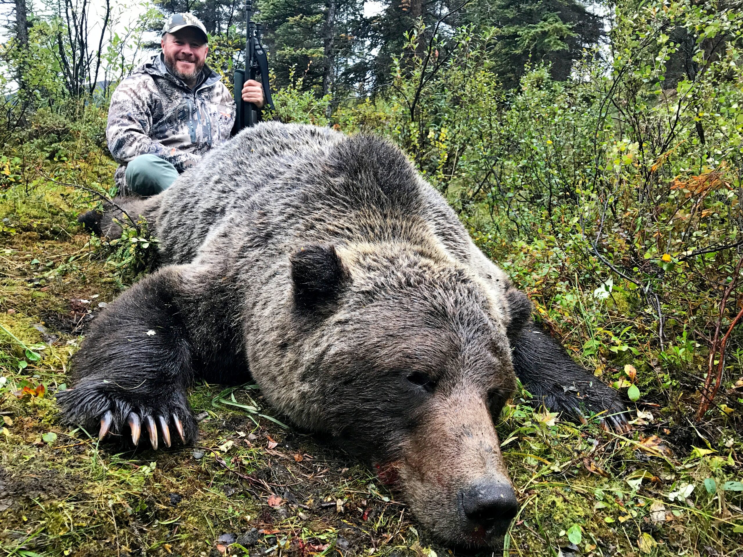 hunt-common-grizzly-bear