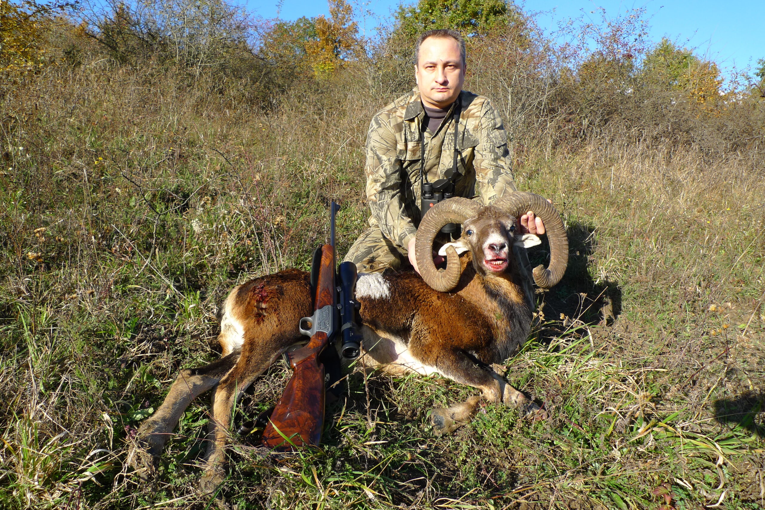hunt-european-mouflon-croatia