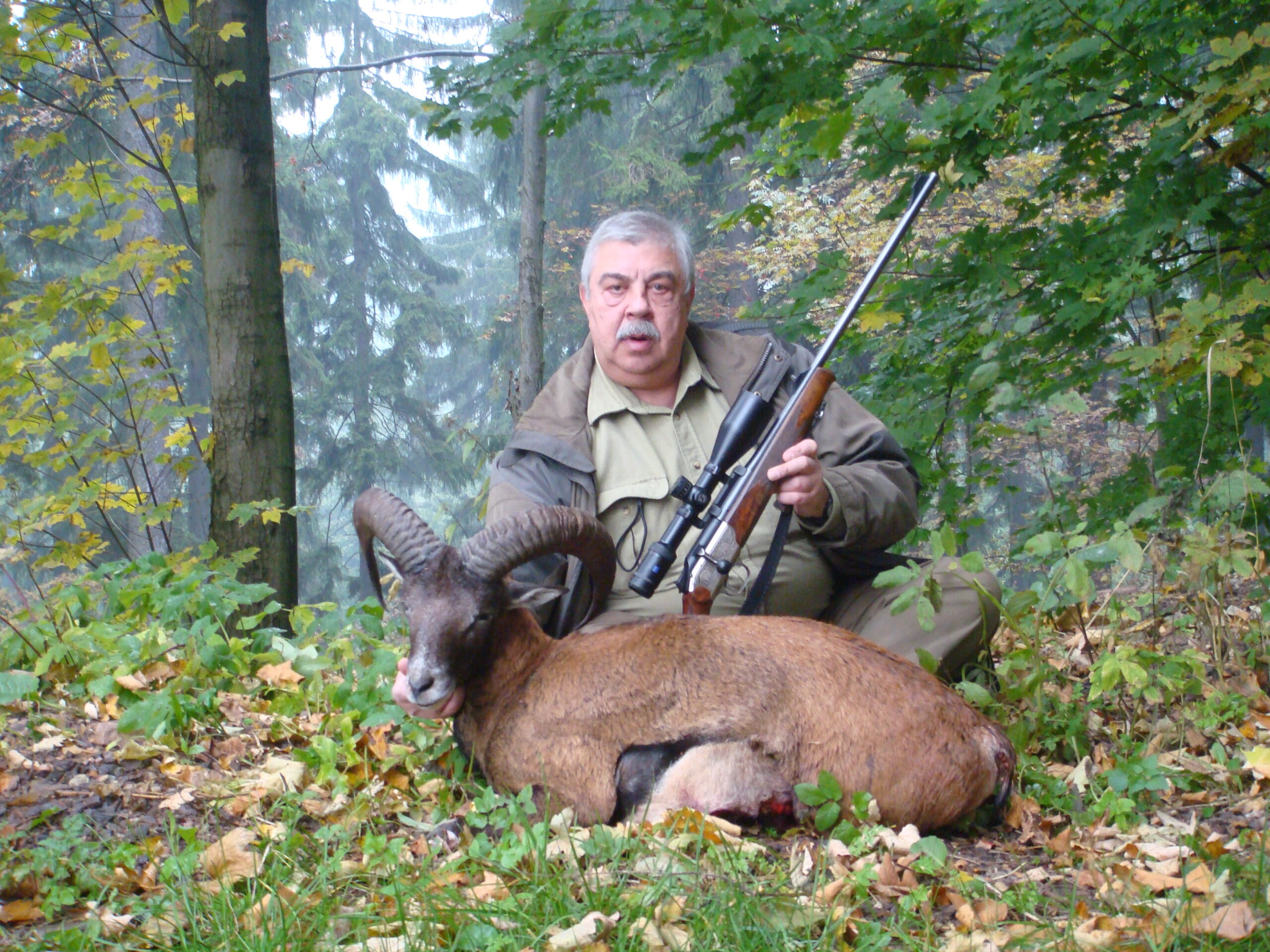hunt-european-mouflon-in-czech-republic