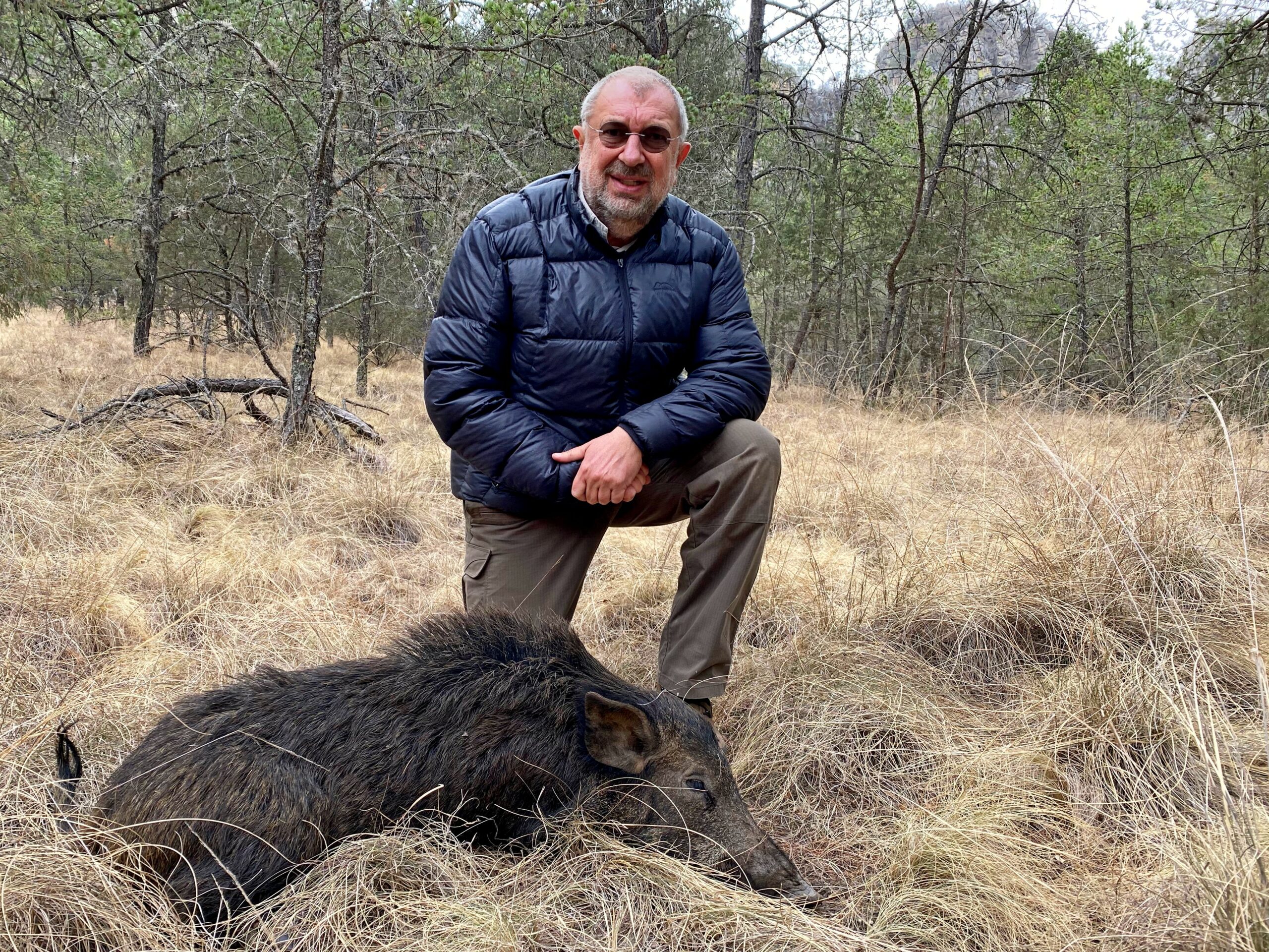 hunt-feral-boar-in-mexico