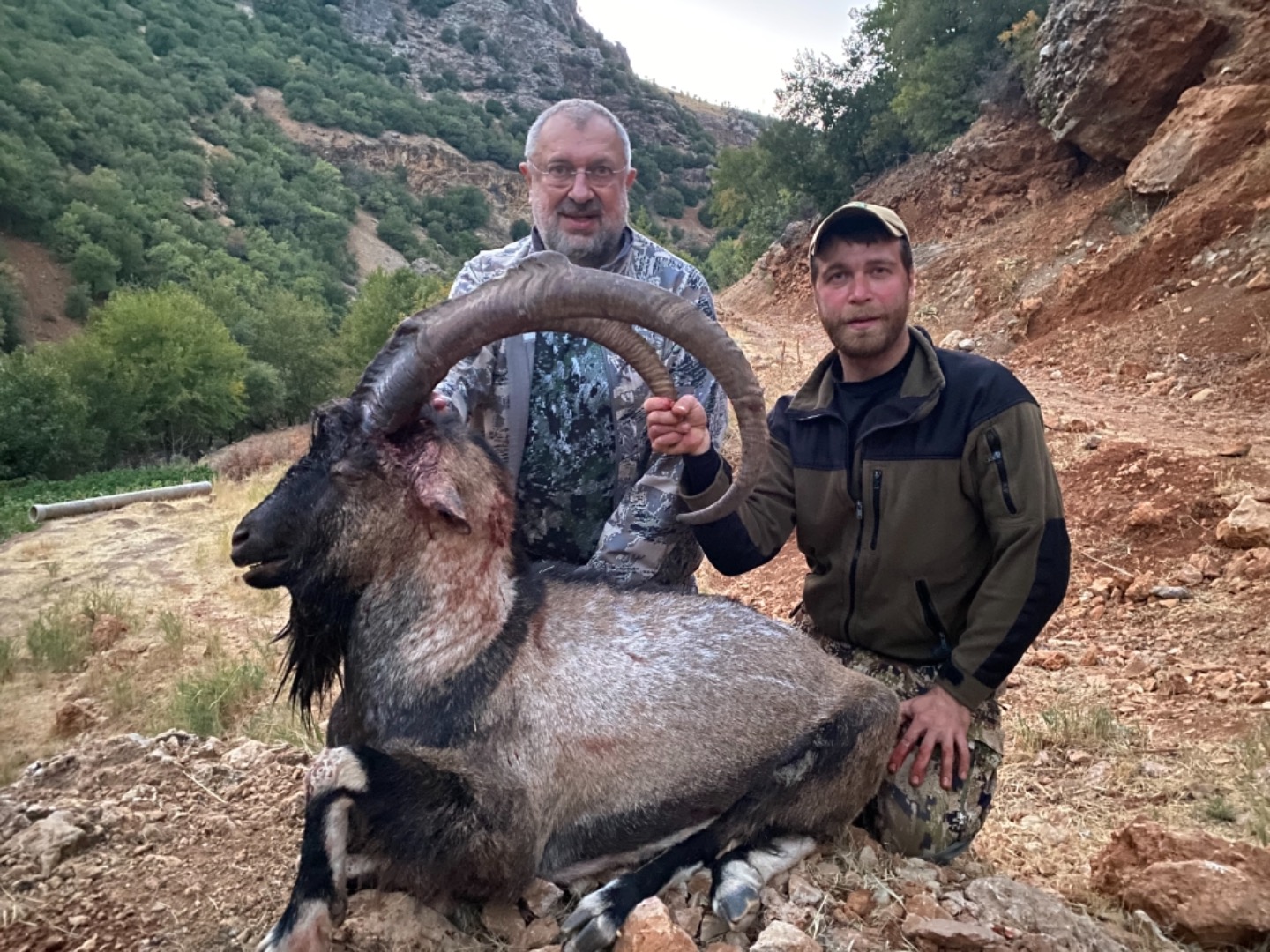 hunt-ibex-in-turkey