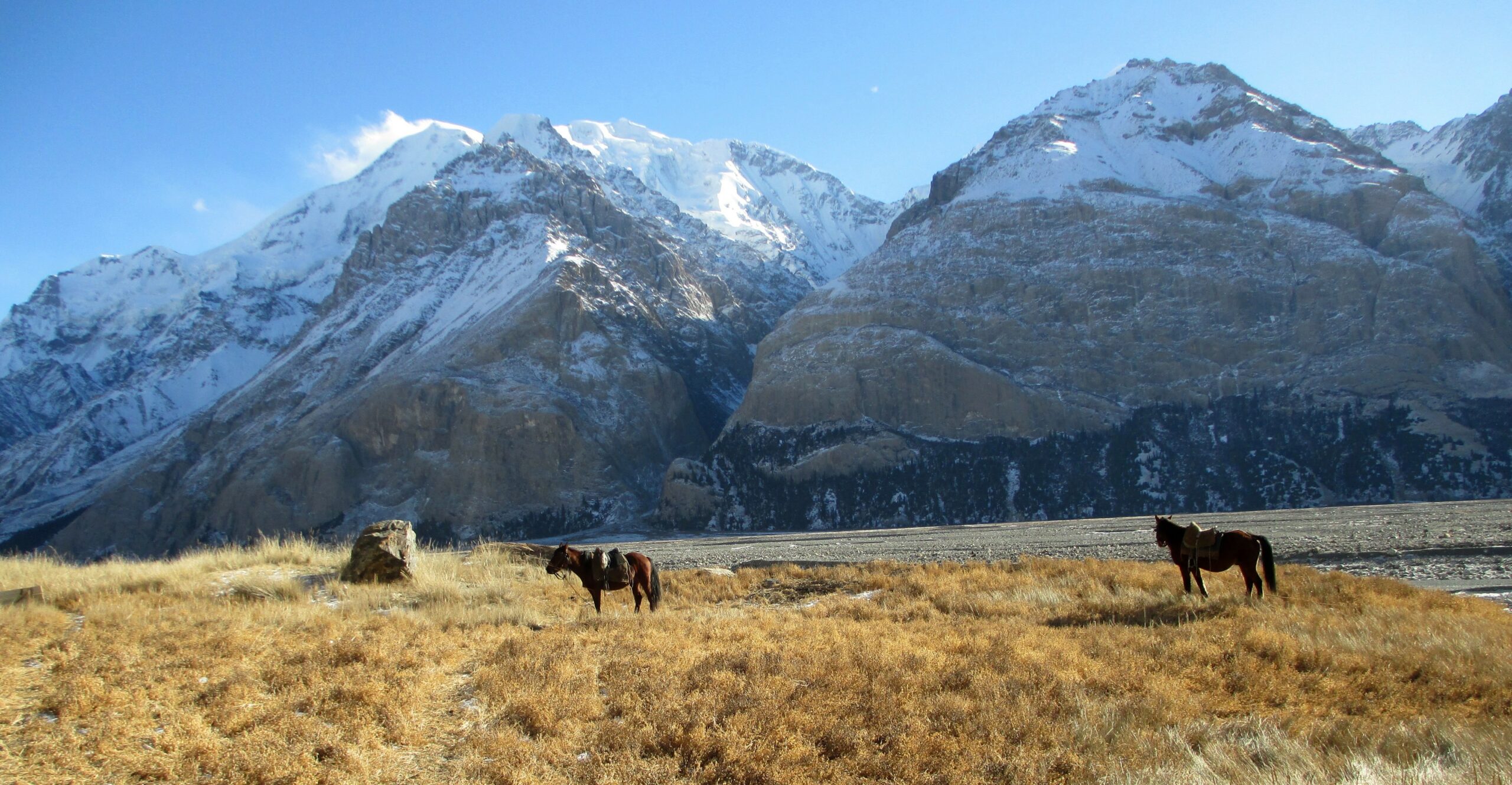 hunt-in-kyrgyzstan