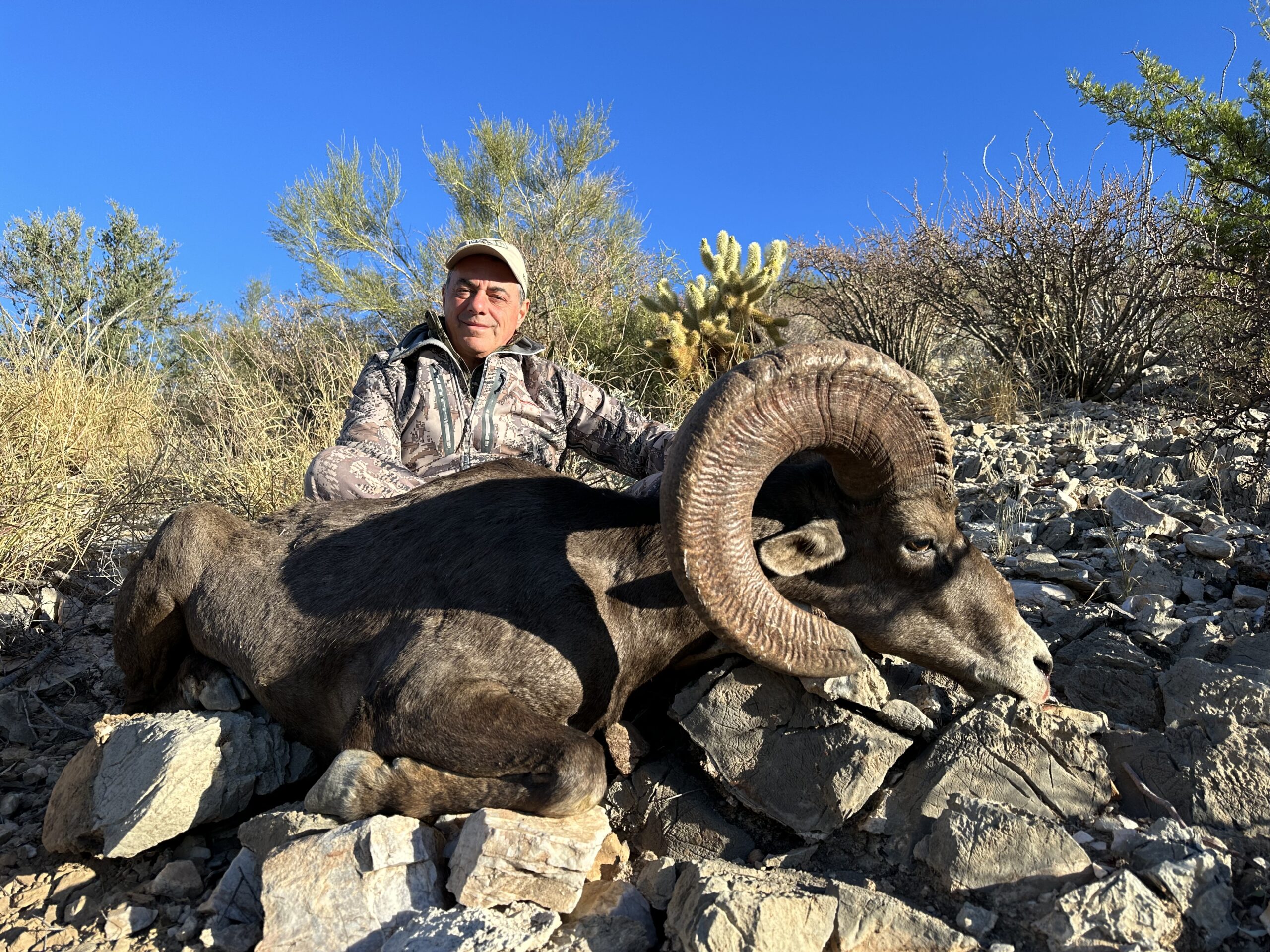 hunt-mexican-desert-bighorn-sheep