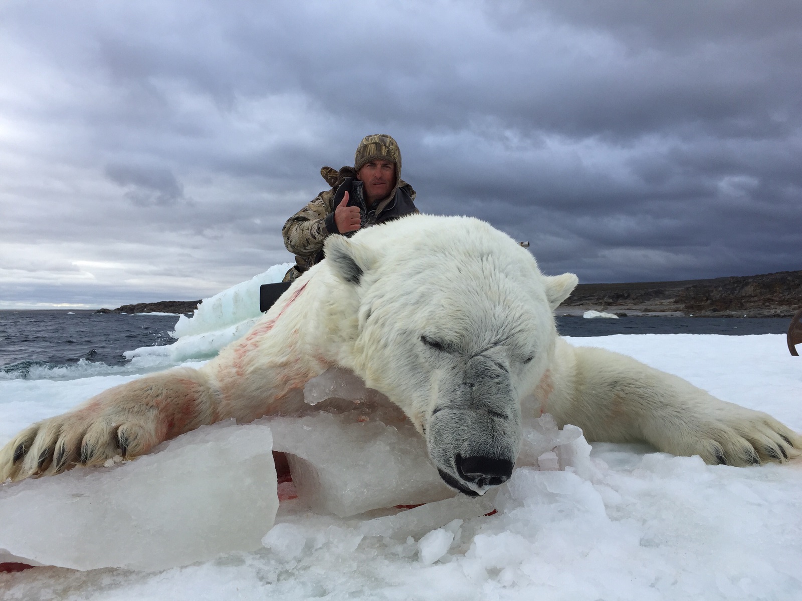 hunt-polar-bear-in-canada