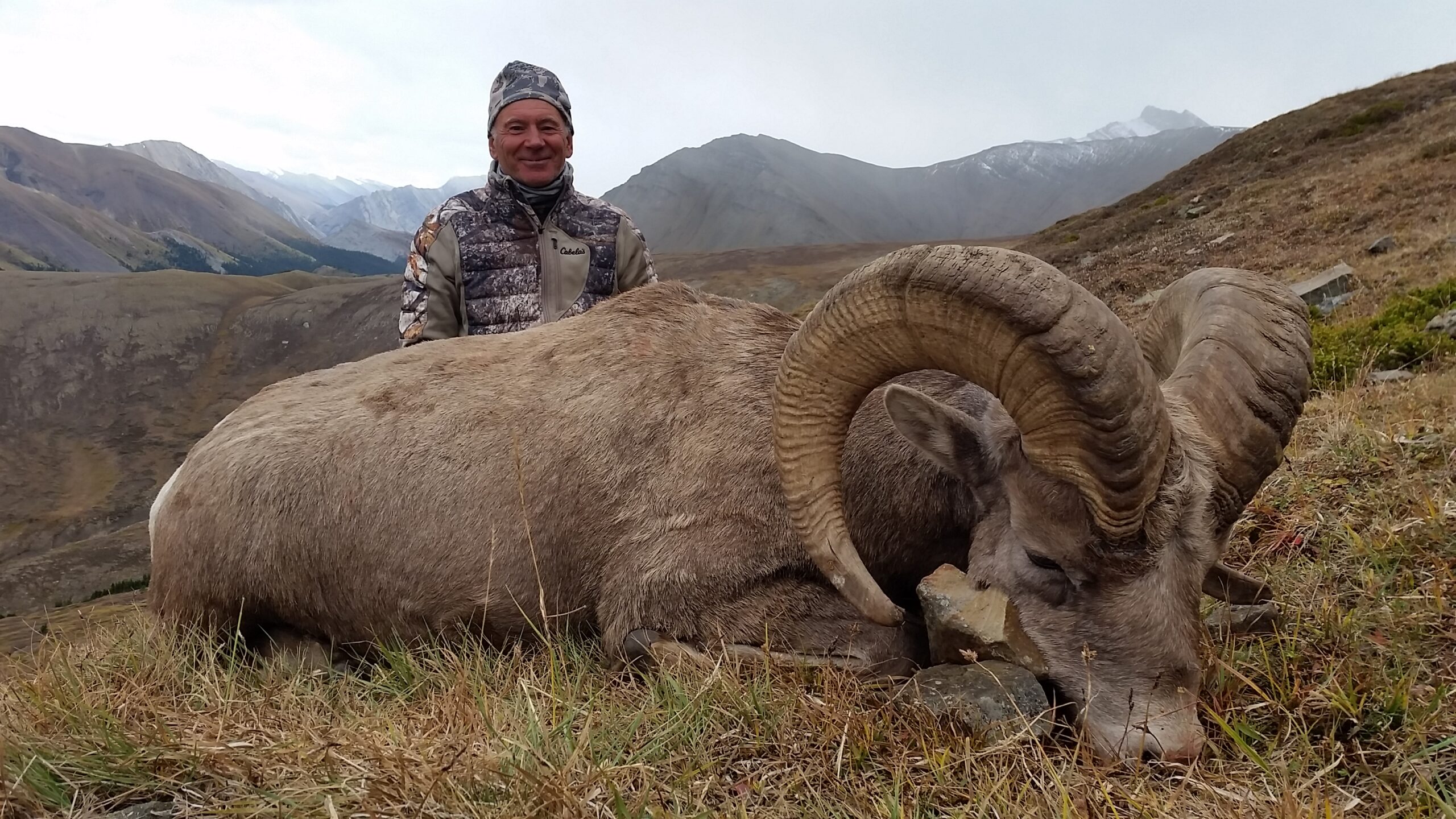 hunt-stone-sheep-in-canada