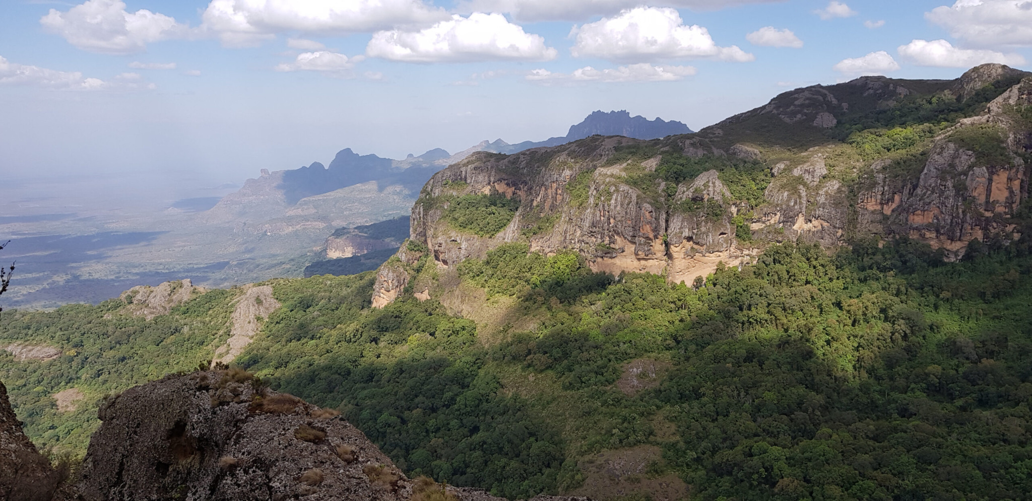 Hunting trips in Uganda, best rates and professional outfitters Stalker