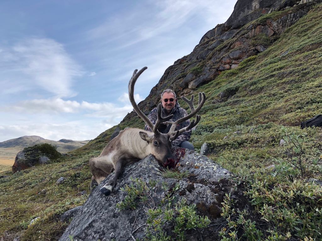 reindeer-free-range