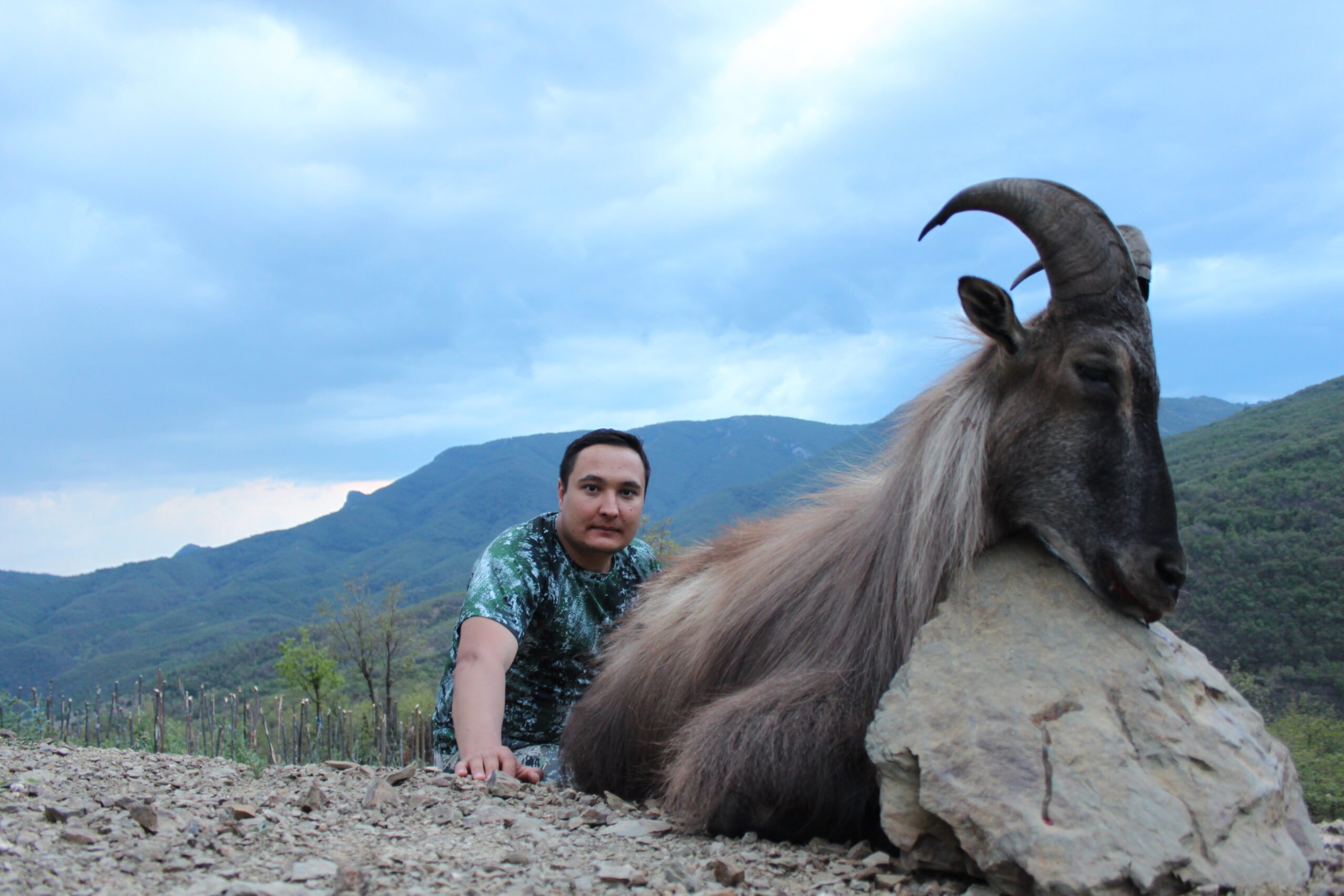 tahr-macedonia-hunting