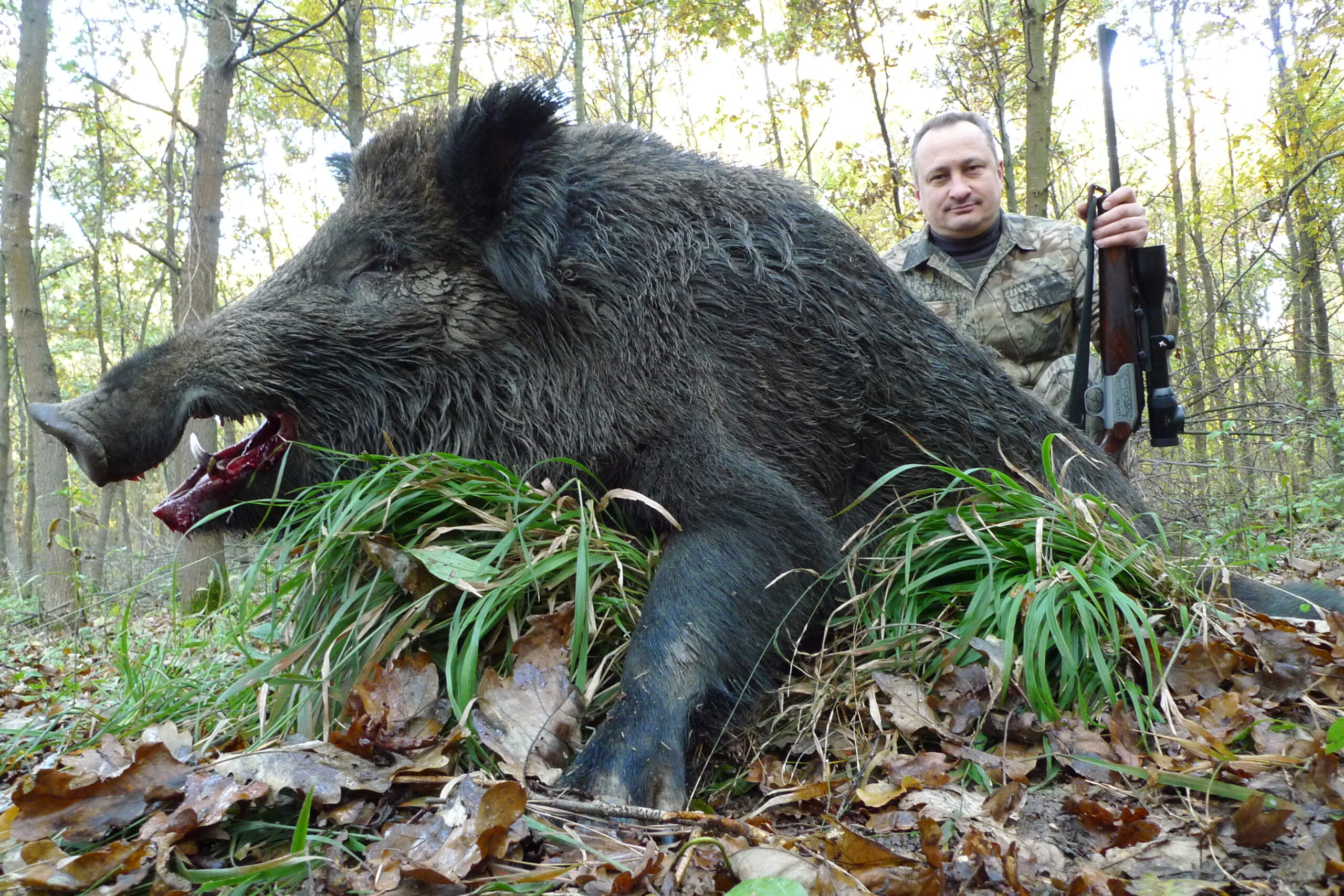 wild-boar-hunting-in-croatia