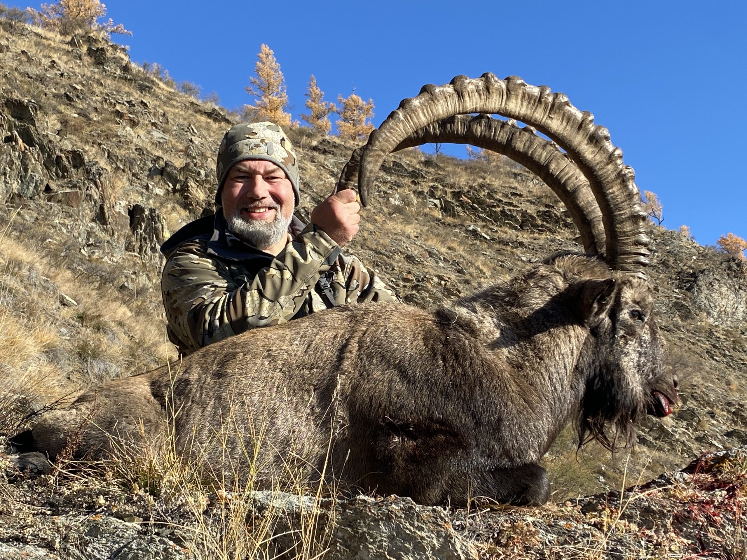 hunting-sayan-ibex