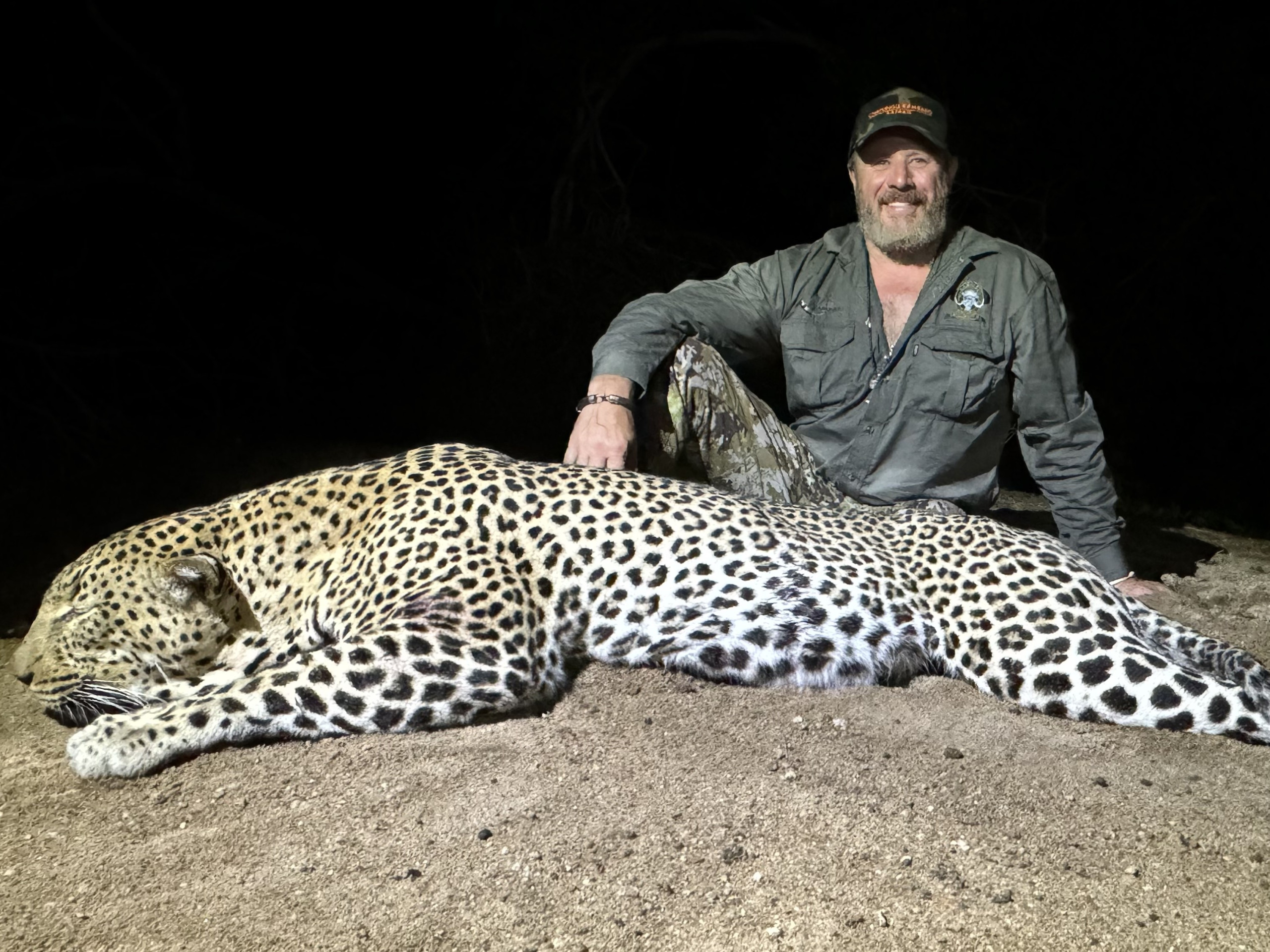 leopard