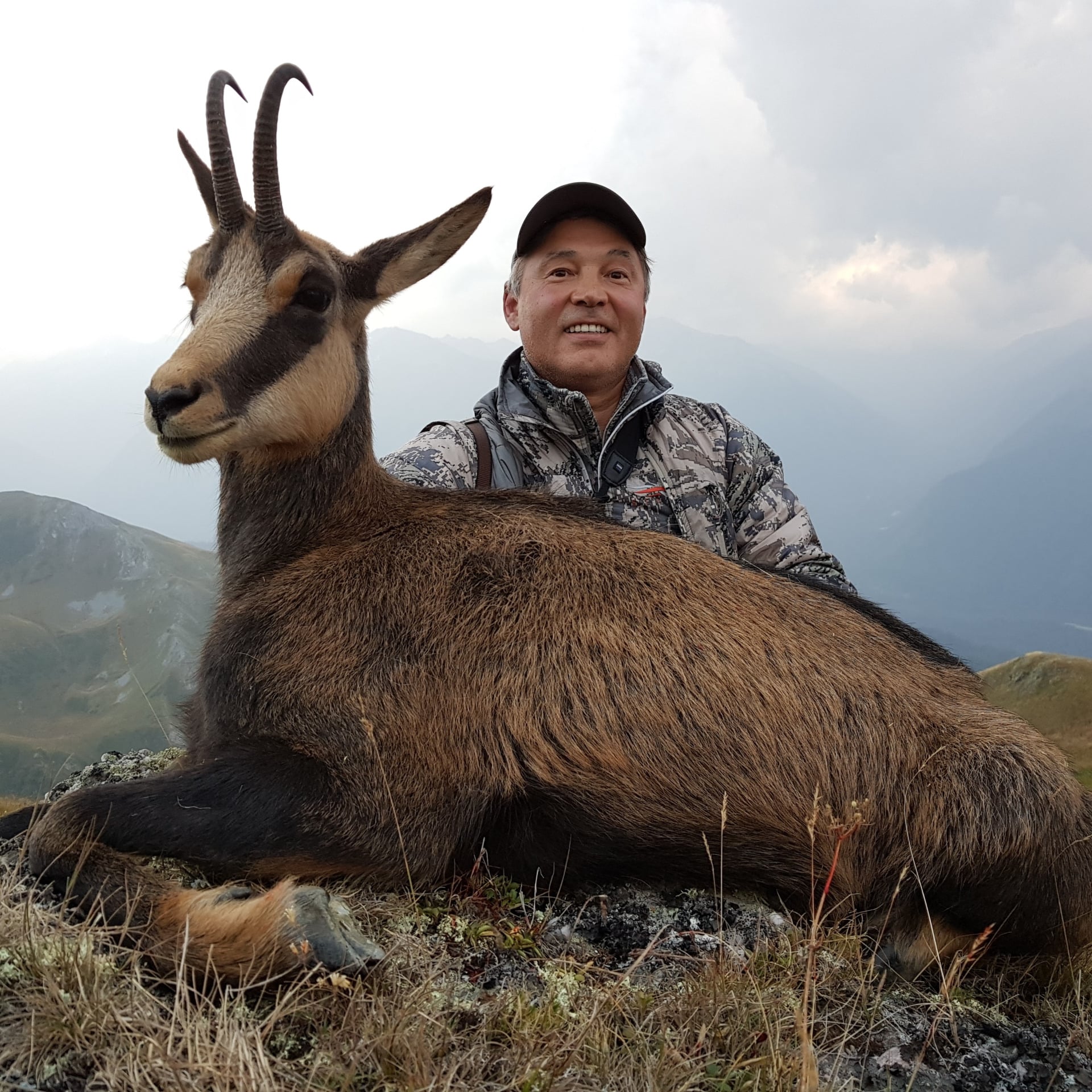 chamois-caucasus