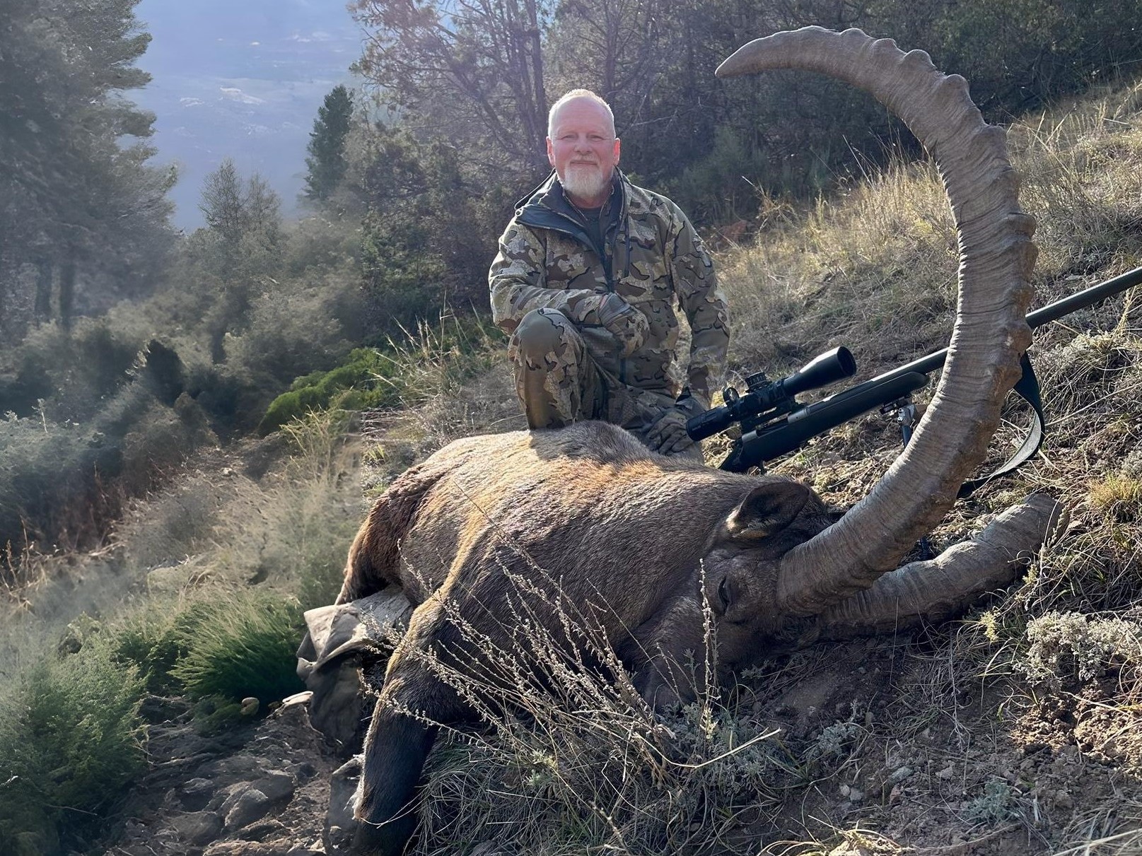 128-cm-mid-asian-ibex
