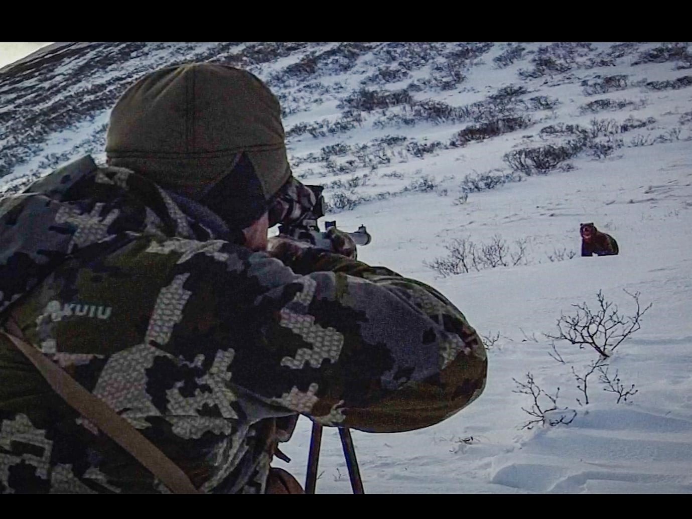 Bear-hunting-russia