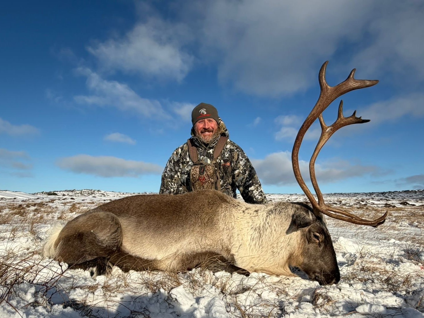 Caribou-trophy