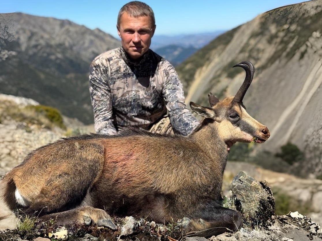 New-Zealand-Chamois-hunt