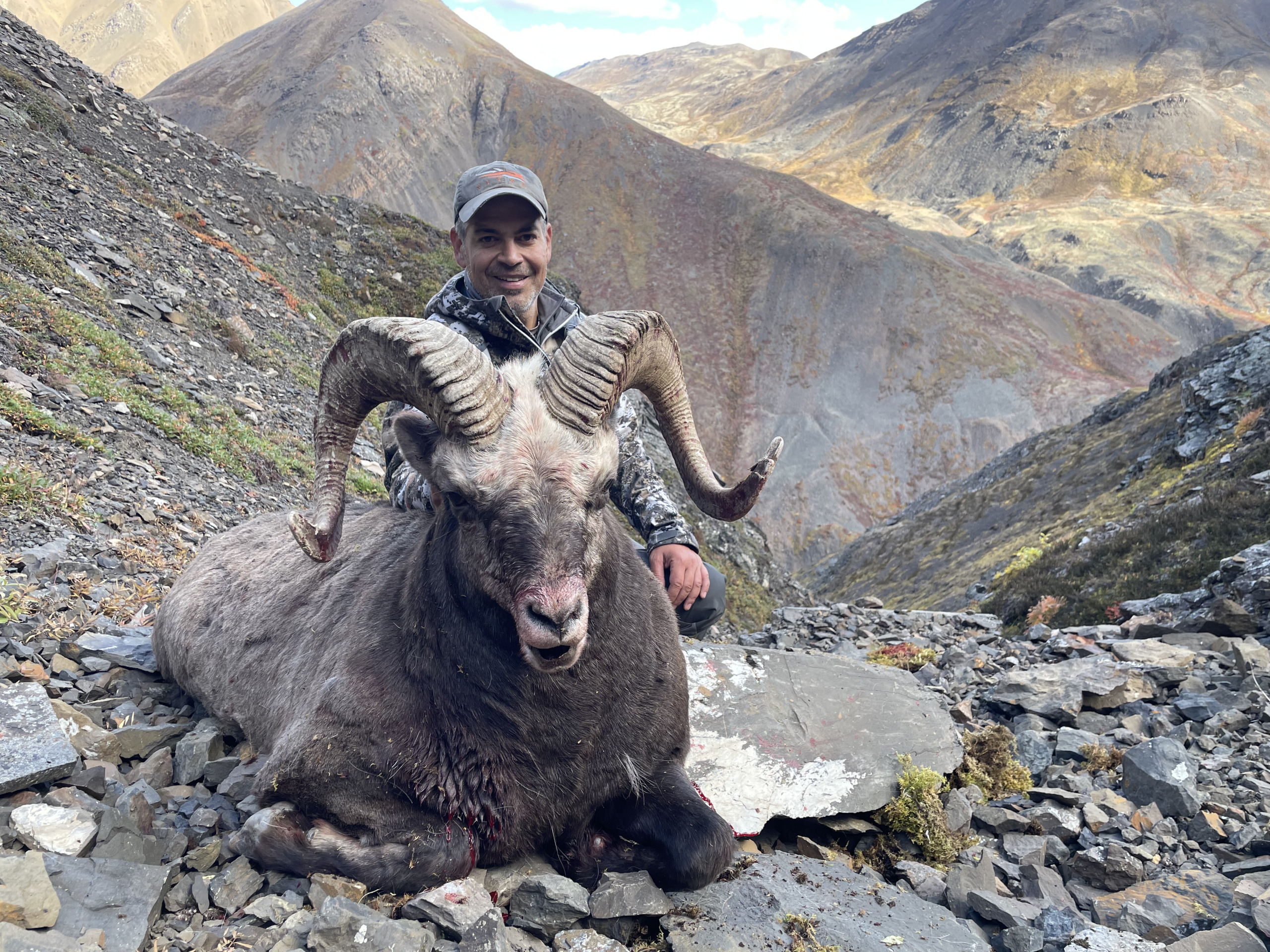 Okhotsk snow sheep (6)