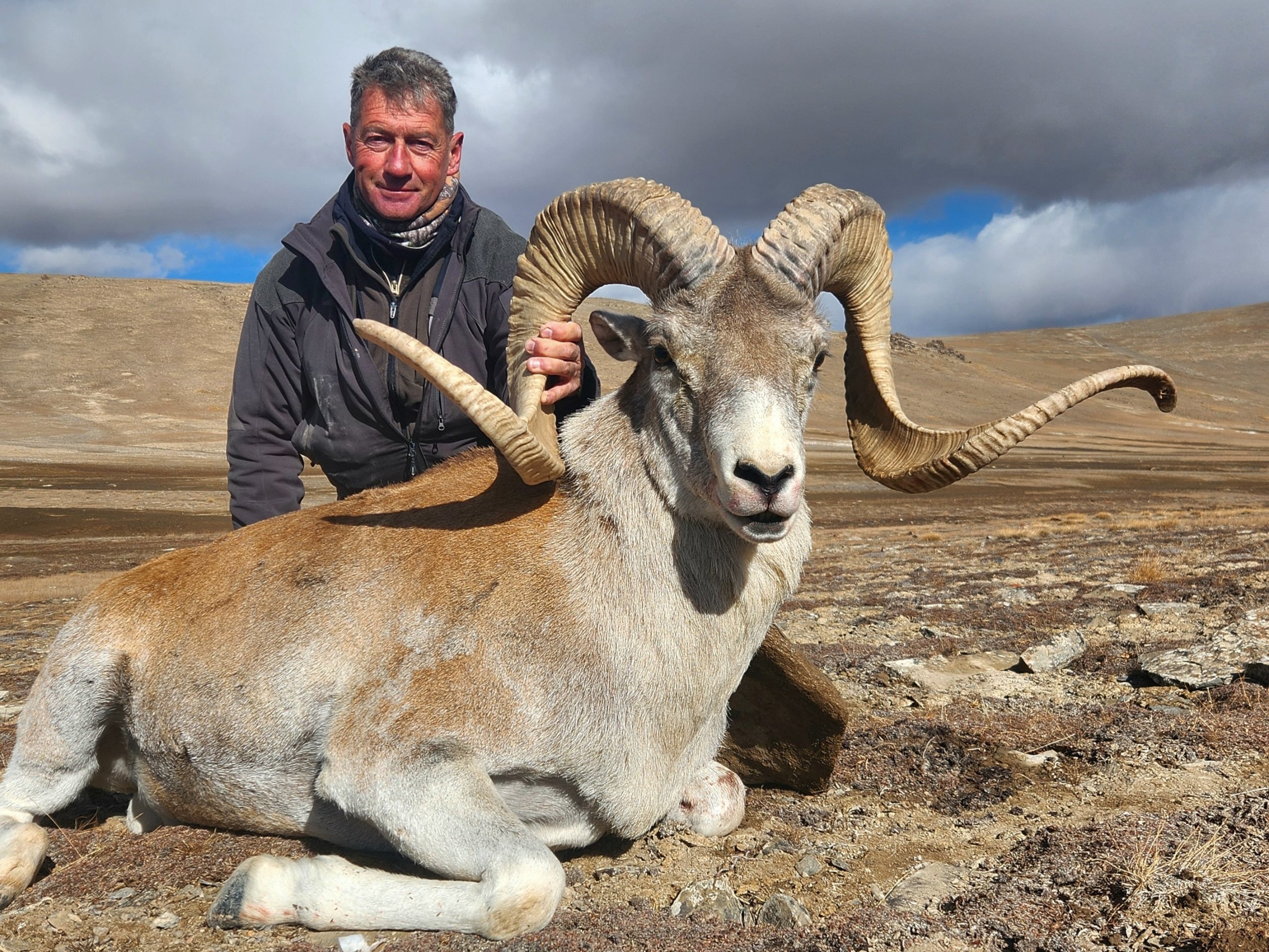 Tian-Shan-Argali-trophy