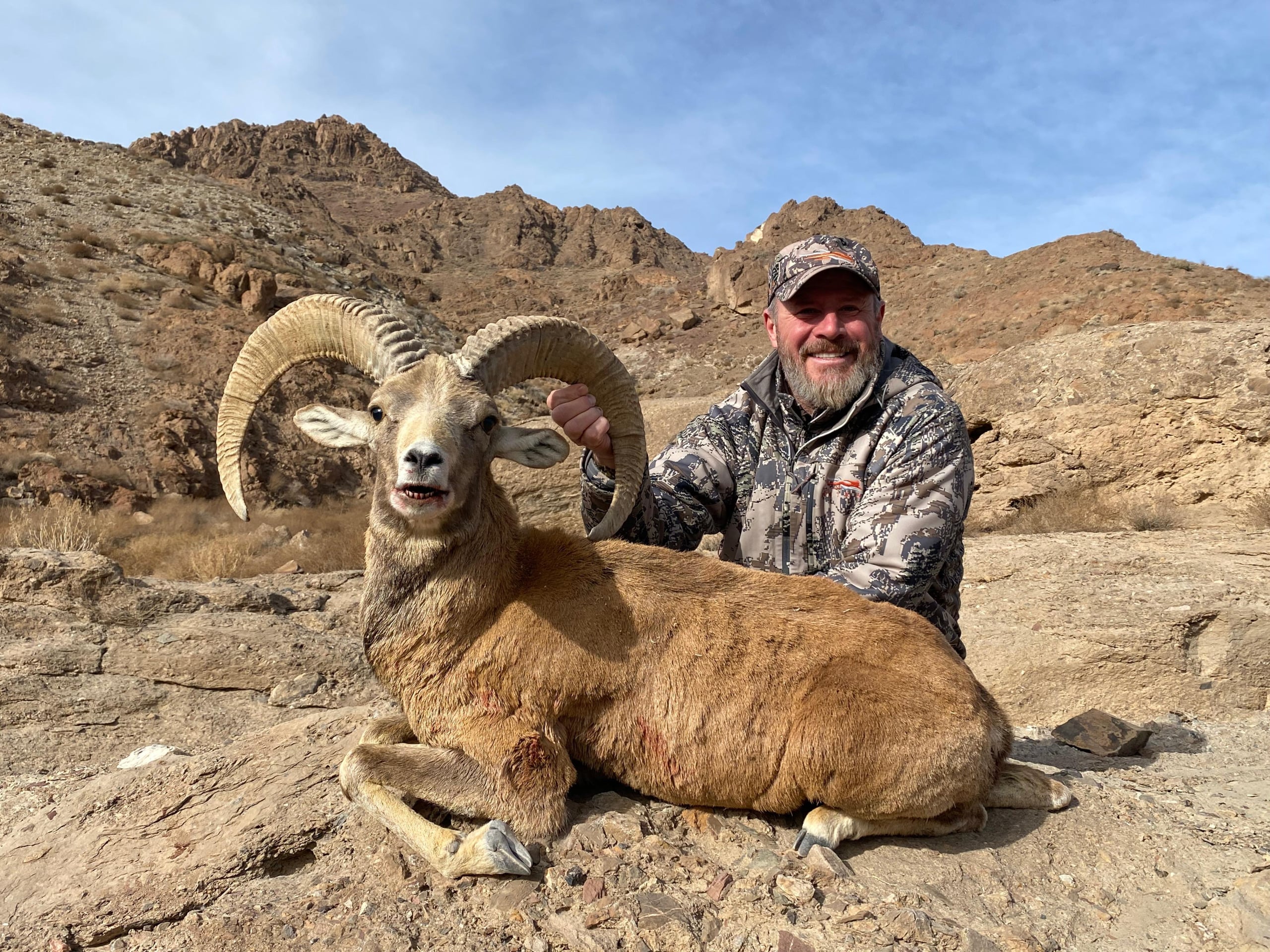 Transcaspian-Urial-hunting