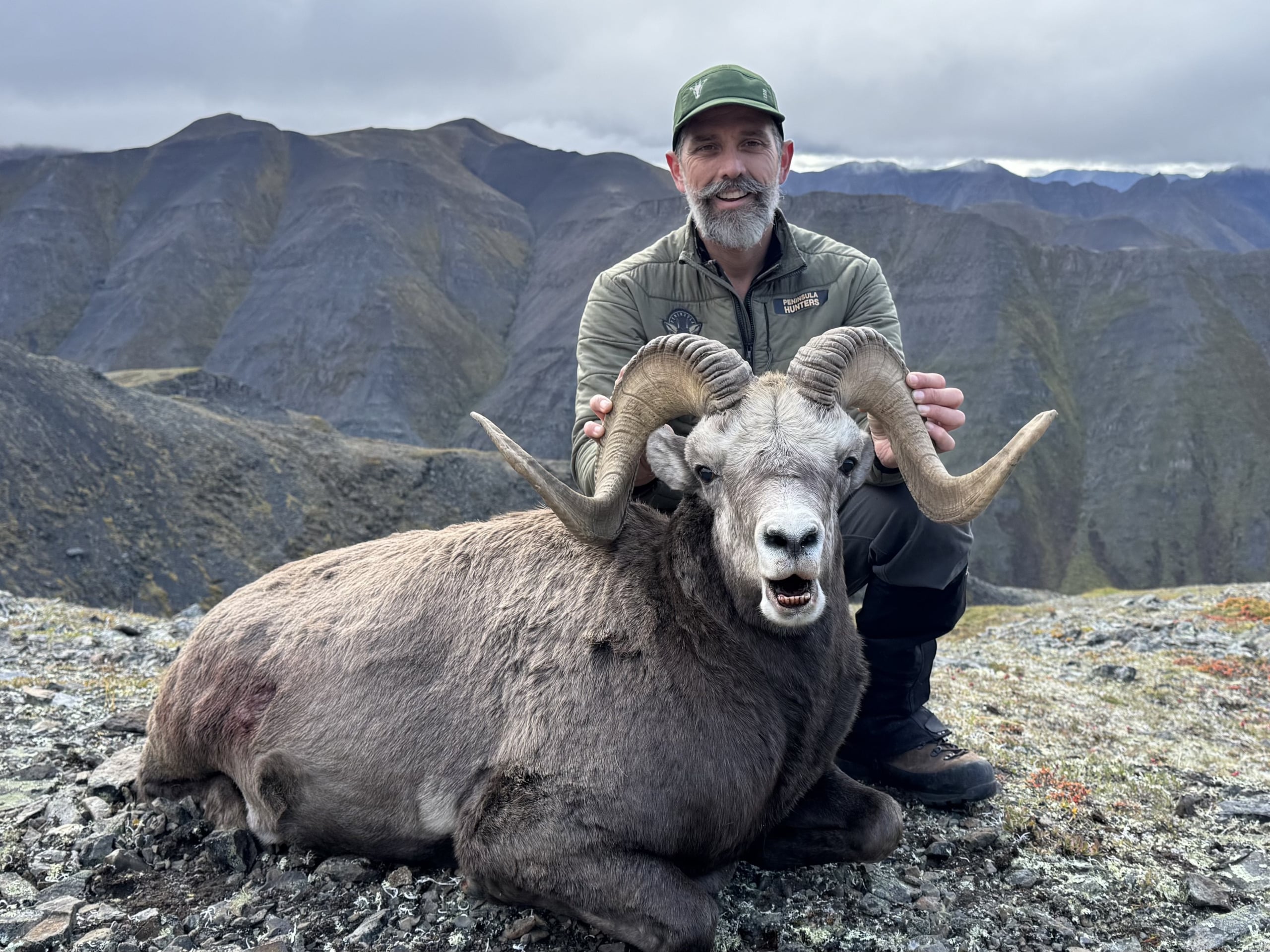 Yakutia-snow-sheep-trophy