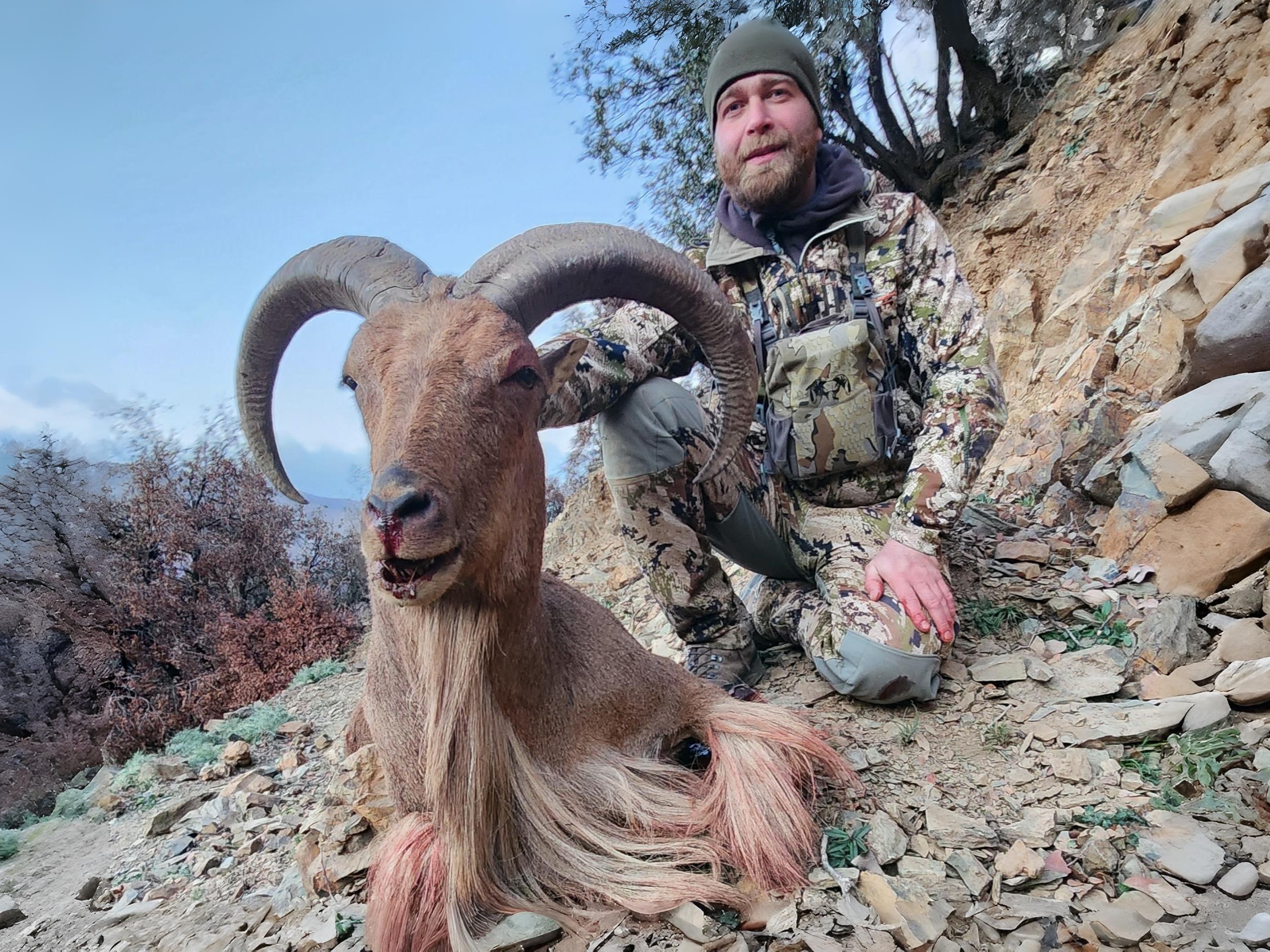 barbary-sheep-hunting